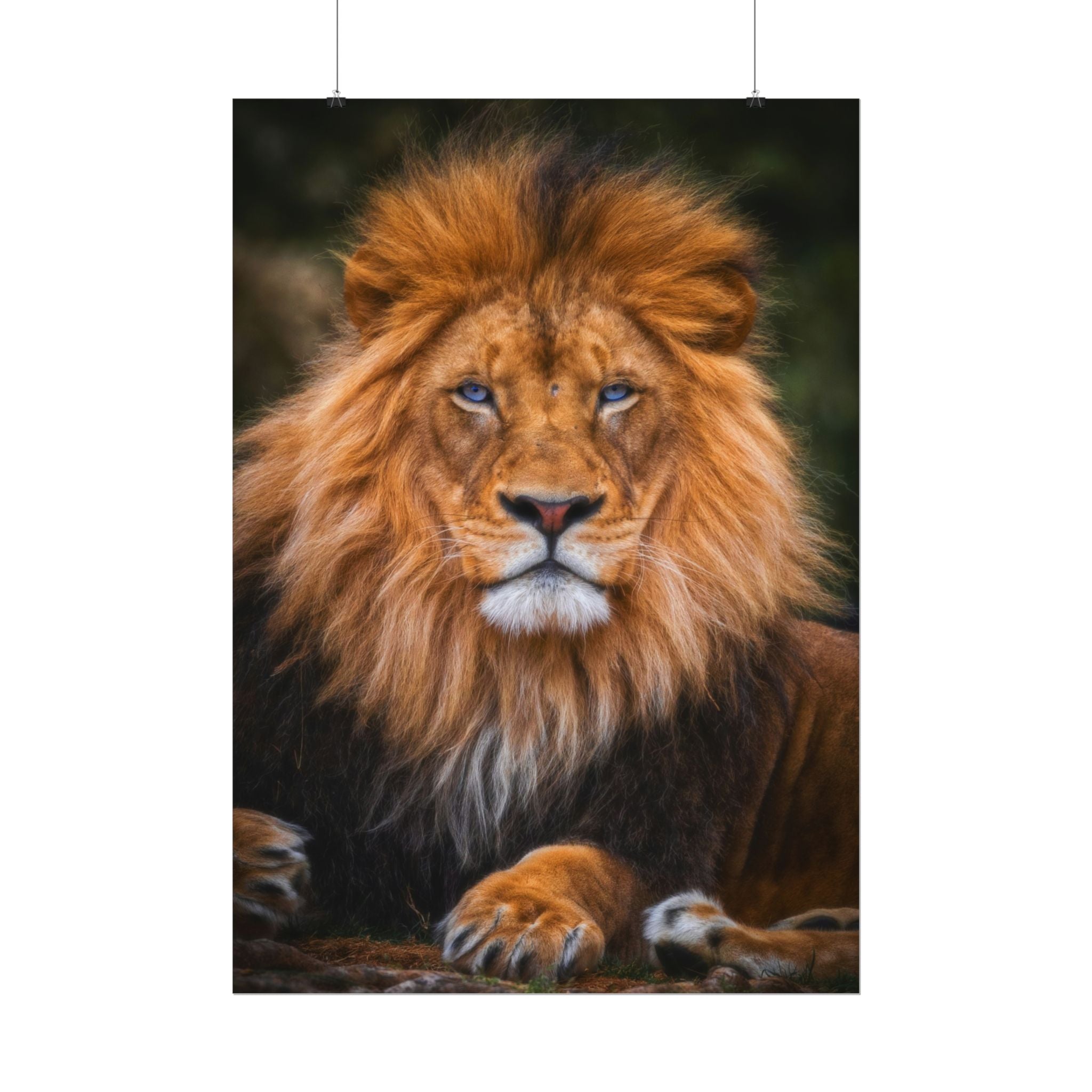blue-eyed-lion-poster-wall-art-wildlife-home-decor-animal-lover-gift-safari-decoration-wildlife-art-print-lion-wall-decor