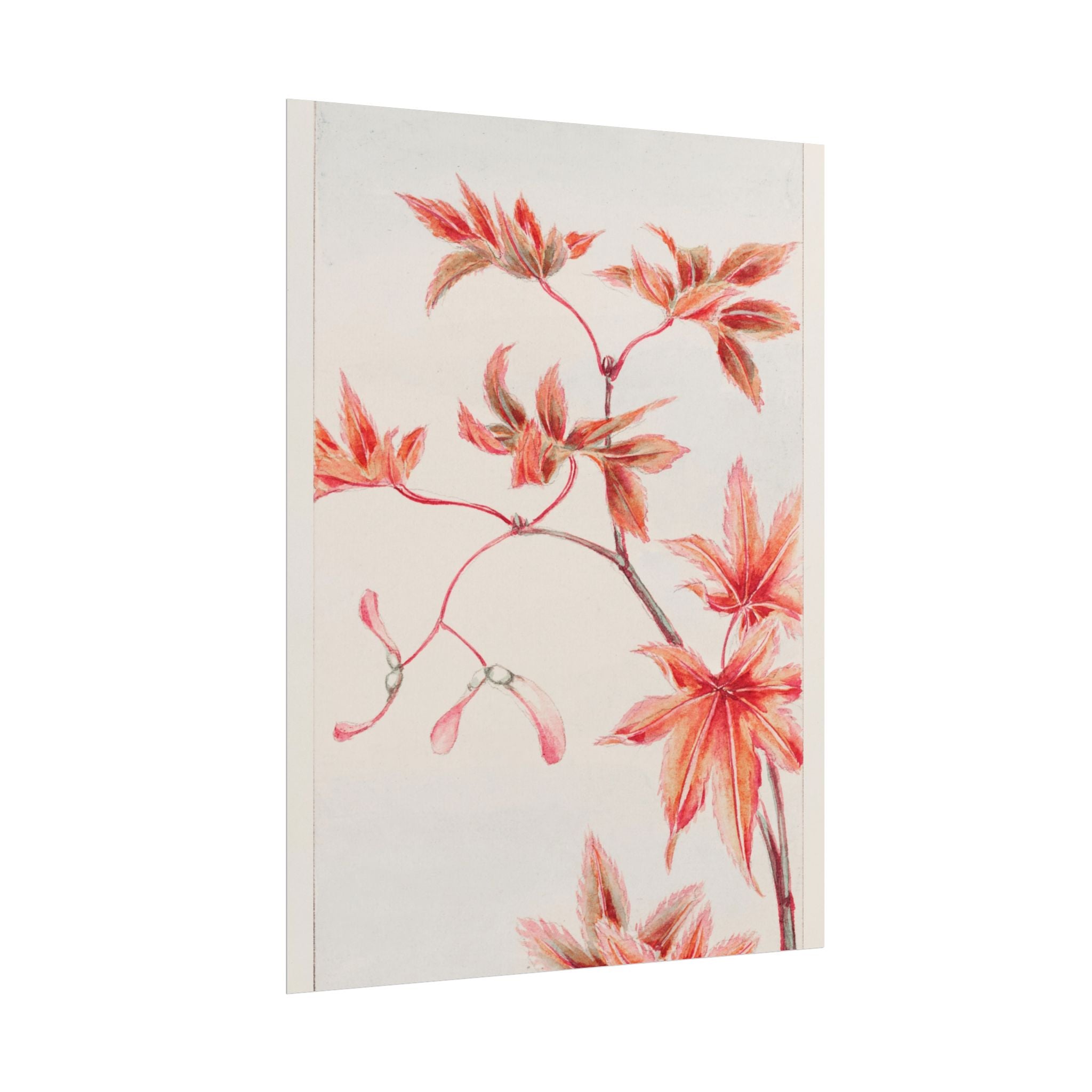 poster-print-branch-of-momiji-maple-tree-with-leaves-floral-wall-art-rolled-posters-wall-decor-room-decoration-nature-art-bot
