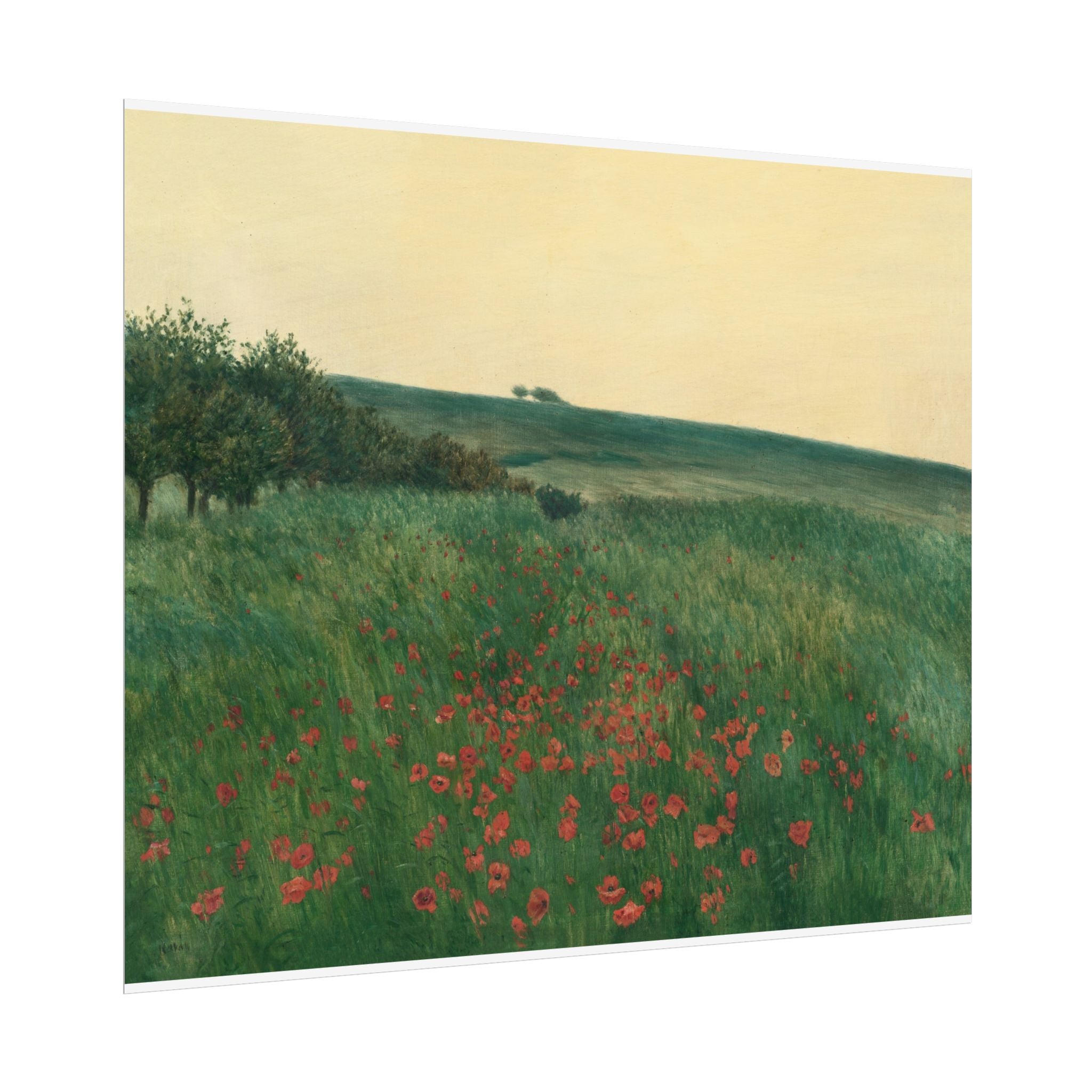 Frantisek Kavan, Fields Poster Print, Fields Landscape Painting, Red Poppies, Rustic Canvas Wall Art, Farmhouse Wall Decor
