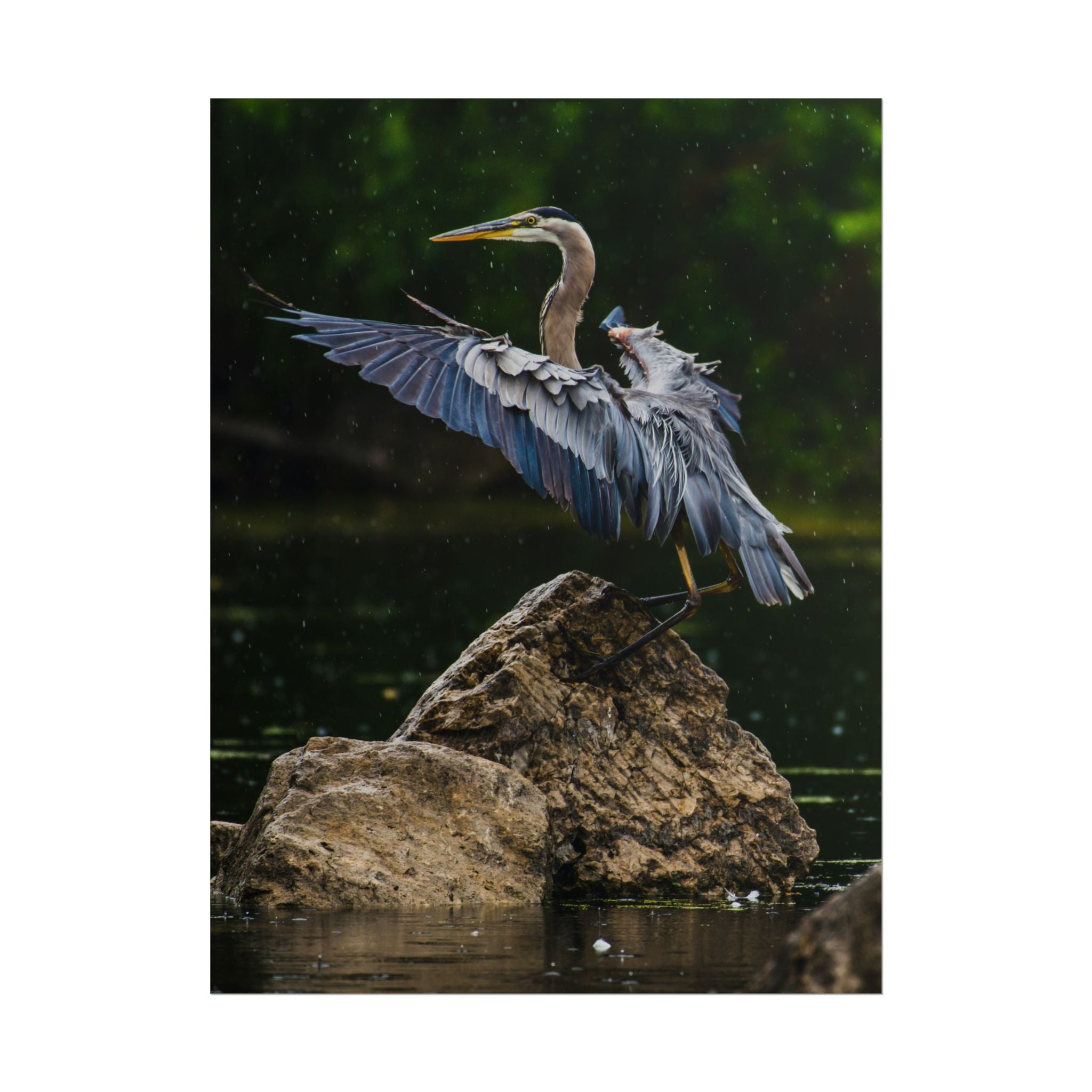 great-blue-heron-poster-wall-art-home-decor-bird-lover-gift-nature-wall-hanging-wildlife-poster