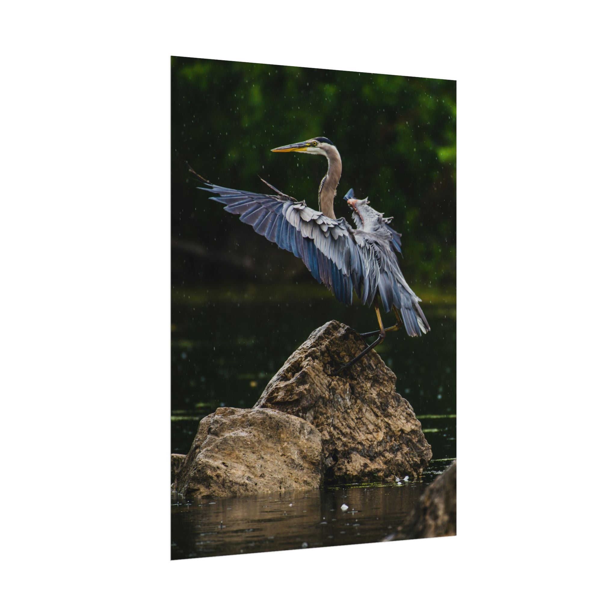 great-blue-heron-poster-wall-art-home-decor-bird-lover-gift-nature-wall-hanging-wildlife-poster