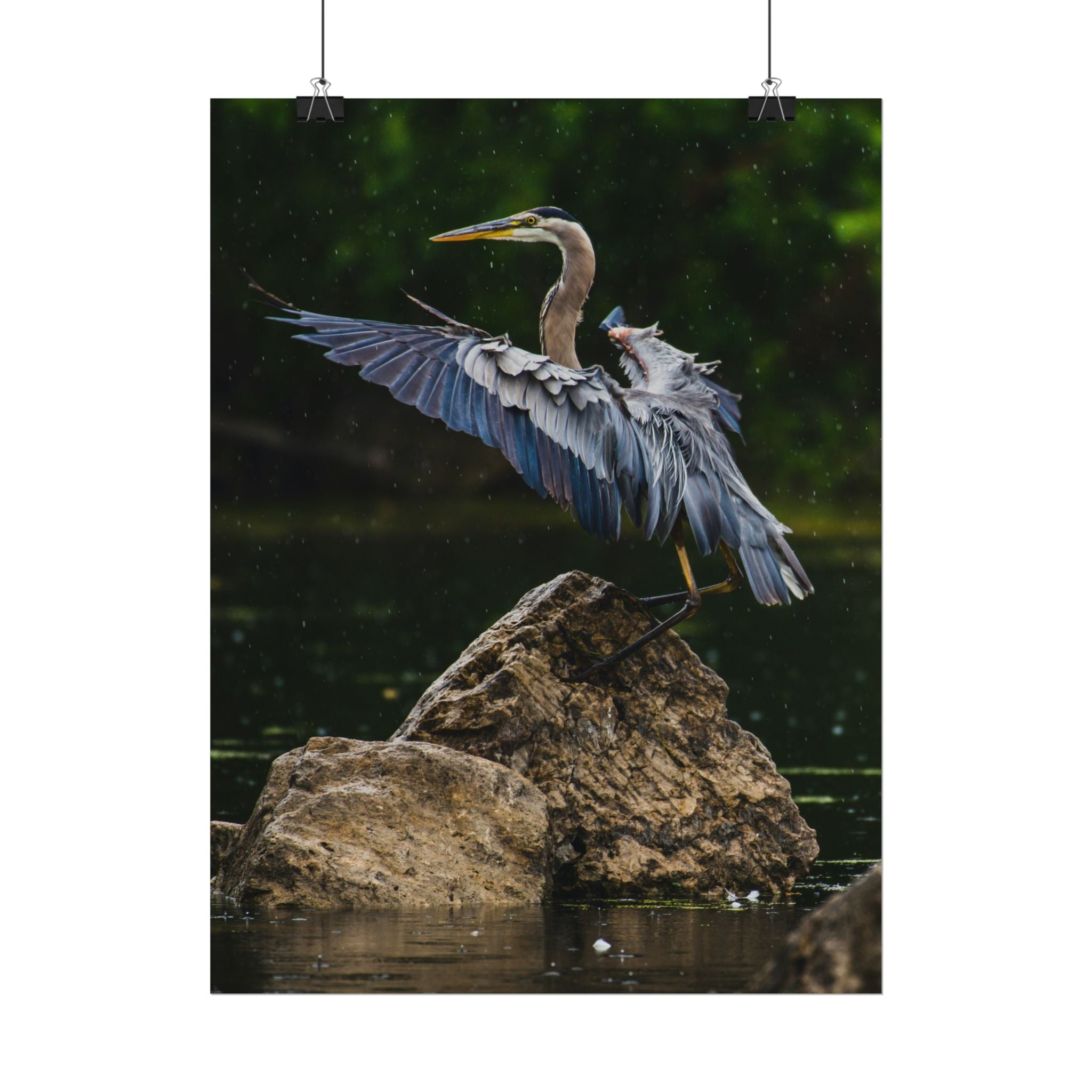 great-blue-heron-poster-wall-art-home-decor-bird-lover-gift-nature-wall-hanging-wildlife-poster