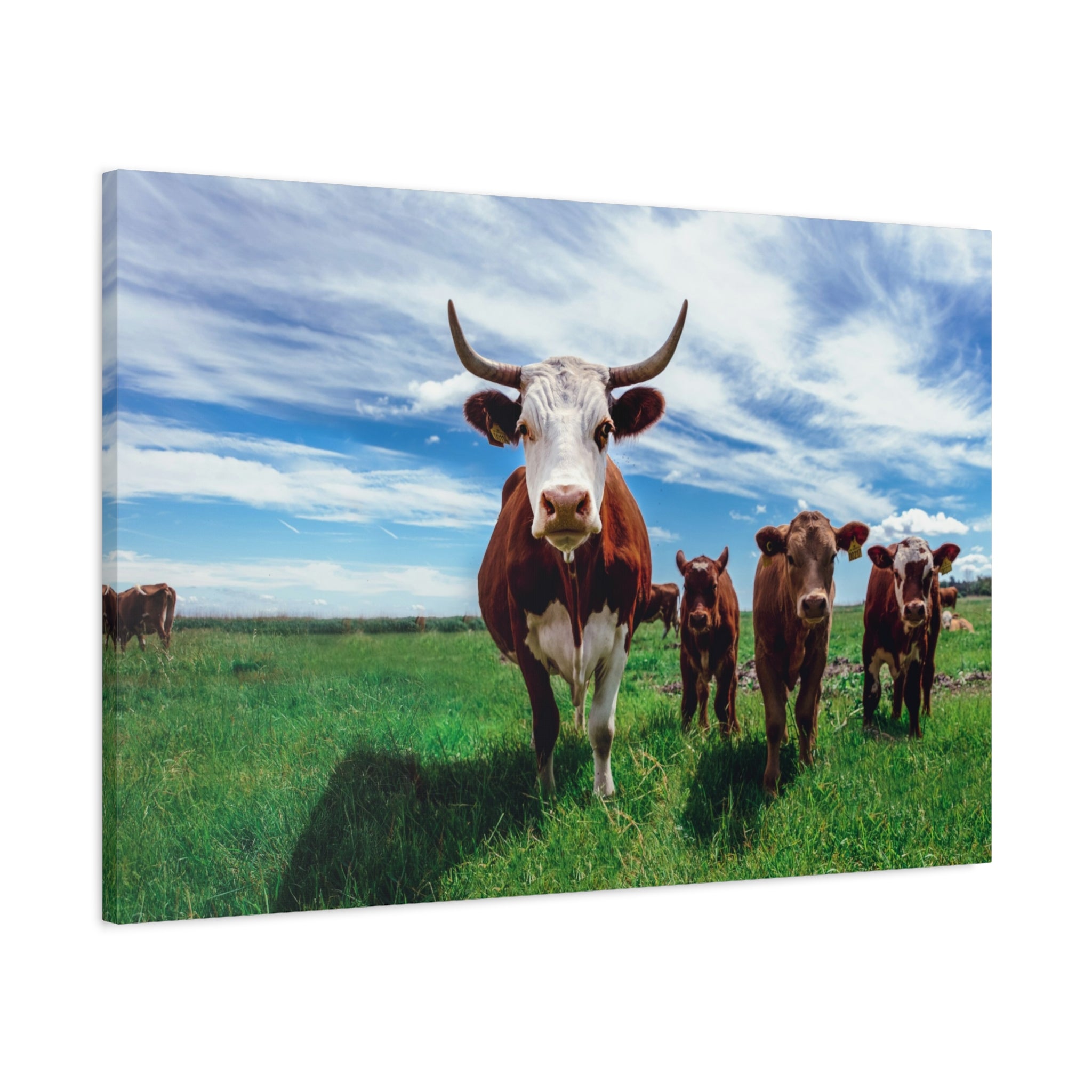 canvas-print-cow-art-home-decor-wall-art-farmhouse-art-living-room-decor-matte-canvas-print-cow-lovers-gift