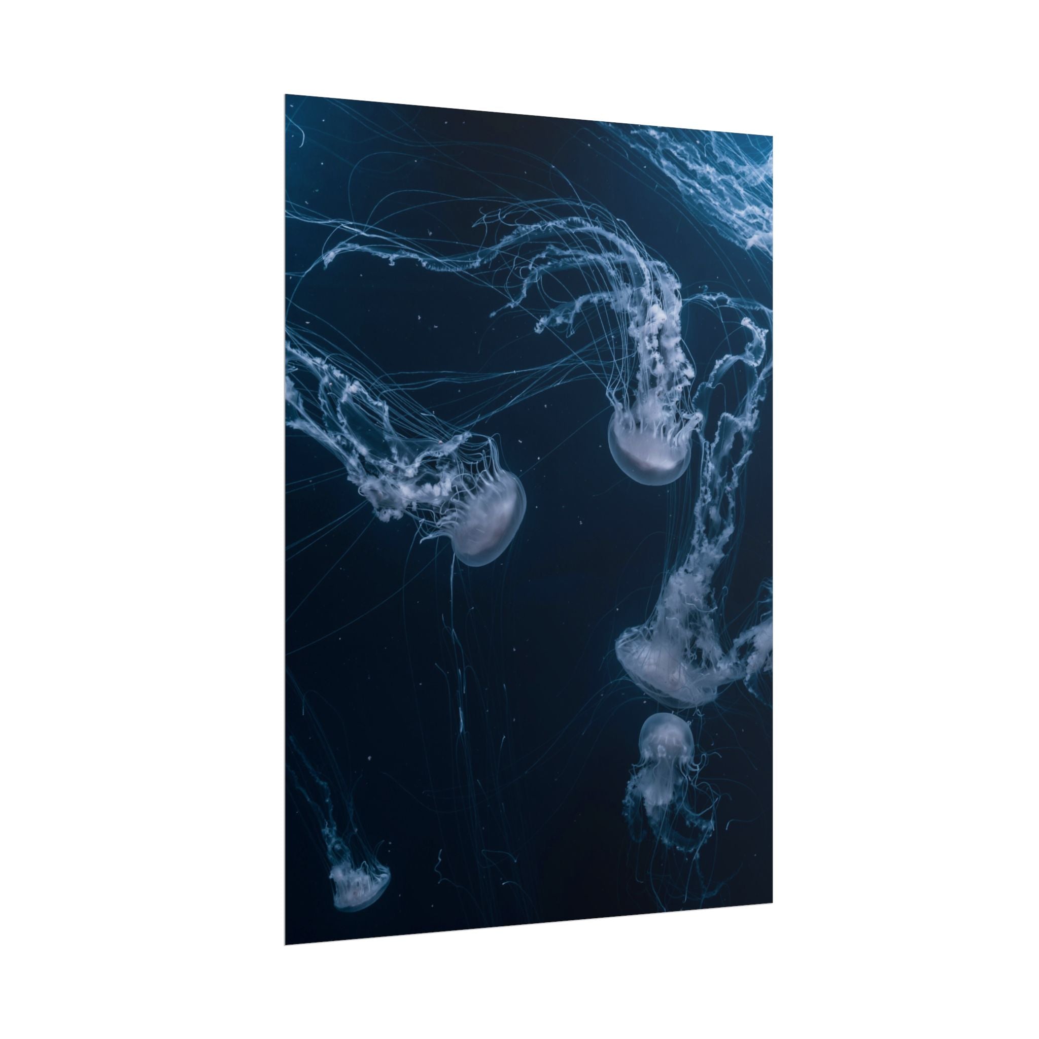 long-jellyfish-wall-art-poster-print-wall-hanging-ocean-life-deep-ocean-decor-home-decor-housewarming-gift