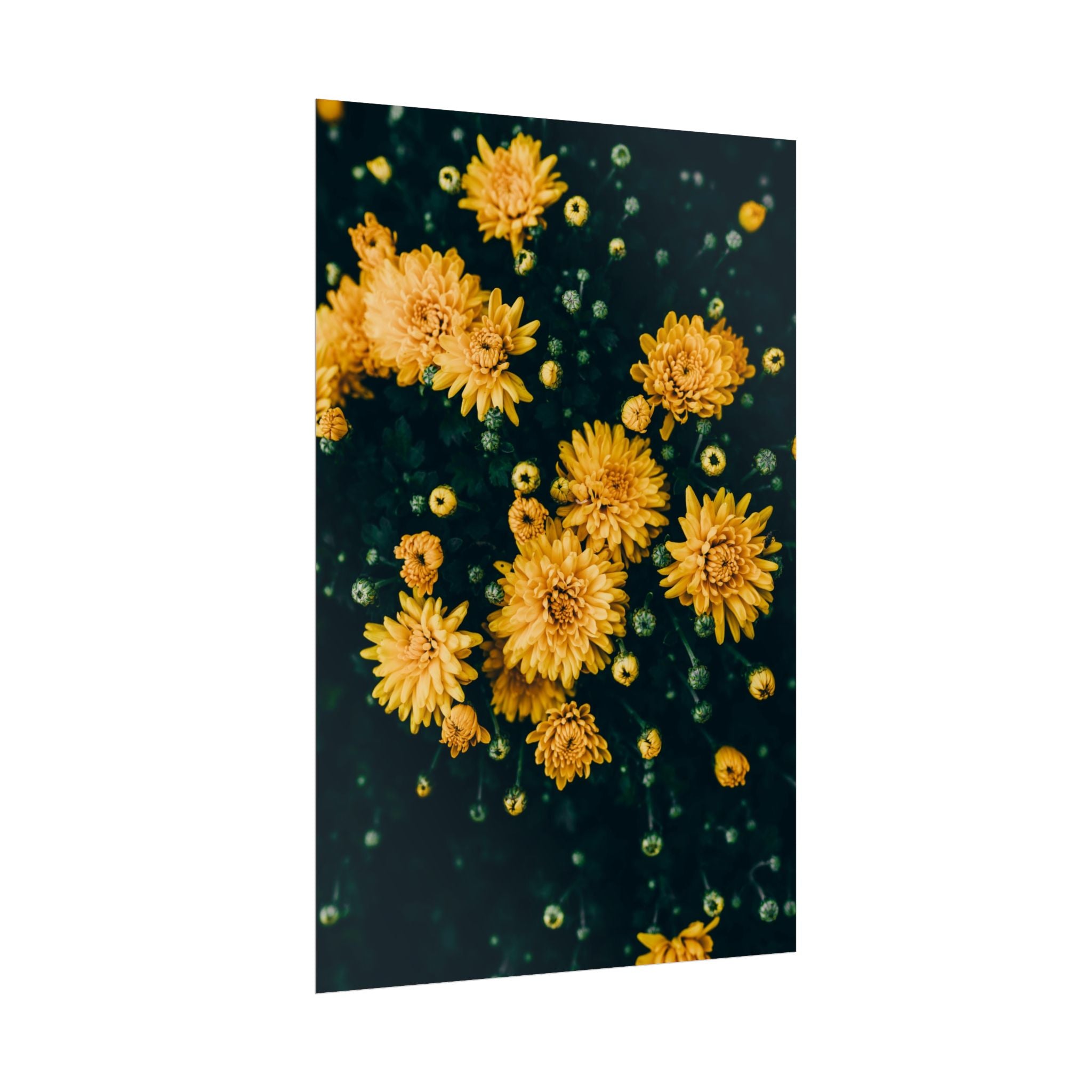 yellow-flower-art-poster-print-floral-wall-decor-floral-home-decor-gift-dark-botanical-art-print