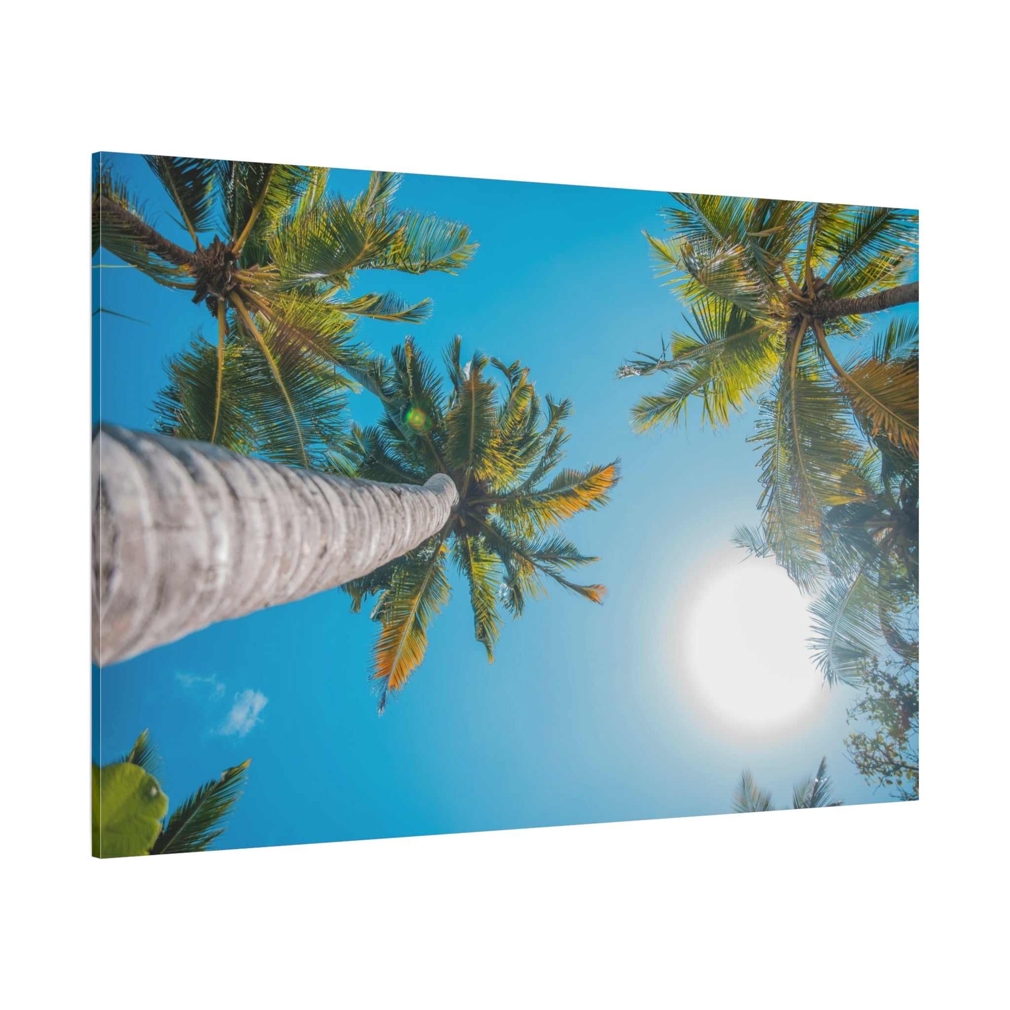palm-tree-canvas-print-palm-tree-decor-wall-art-print-home-decor-palm-tree-fine-art-palm-tree-art-gallery-stretched-canvas-pr