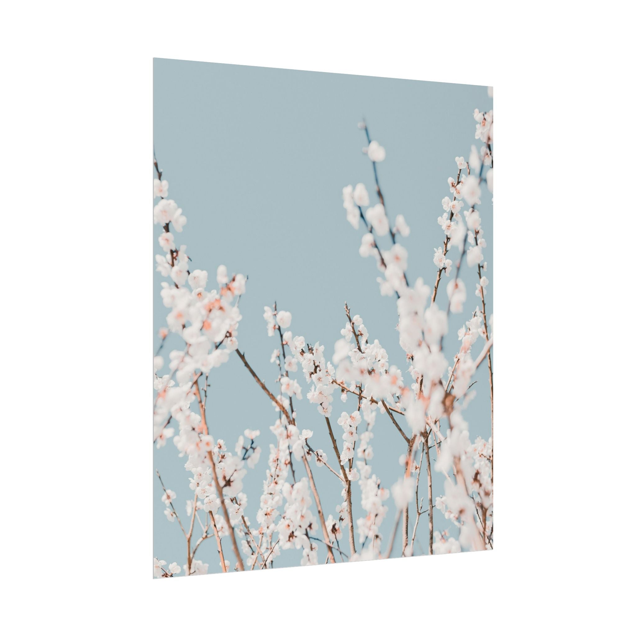 blossom-flowers-poster-print-minimalist-aesthetic-wall-art-fine-art-paper-home-decor-floral-decor-elegant-artwork