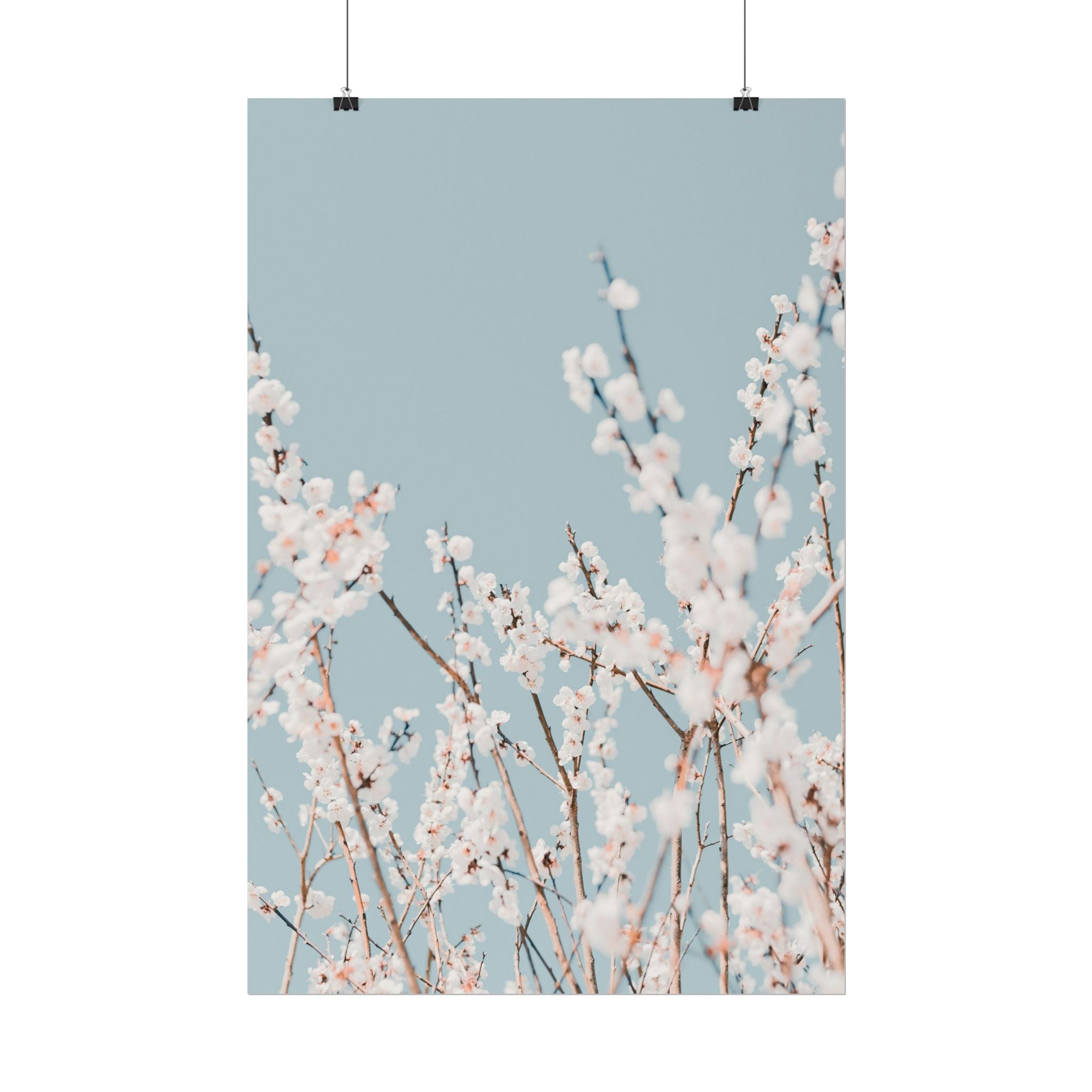 blossom-flowers-poster-print-minimalist-aesthetic-wall-art-fine-art-paper-home-decor-floral-decor-elegant-artwork