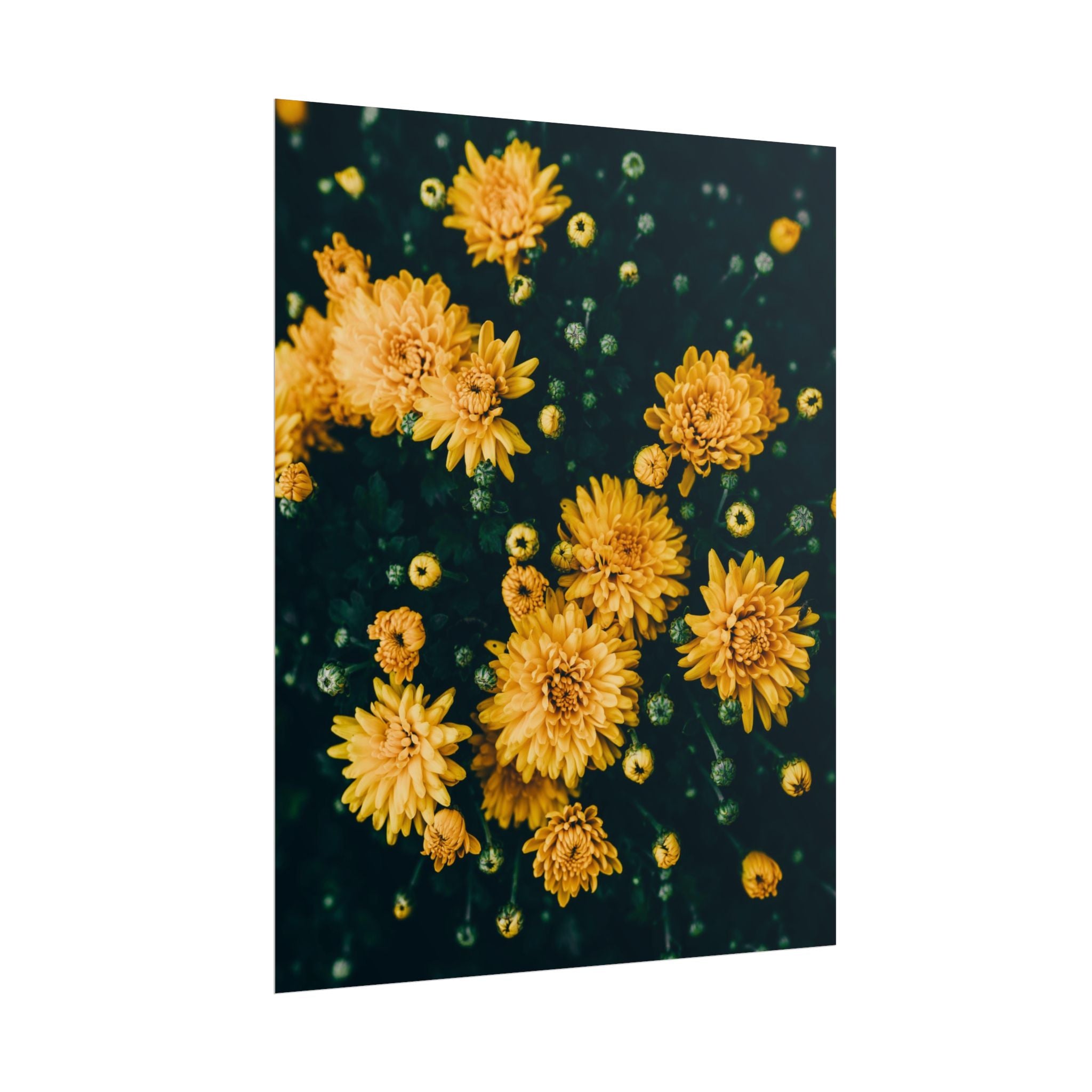 yellow-flower-art-poster-print-floral-wall-decor-floral-home-decor-gift-dark-botanical-art-print