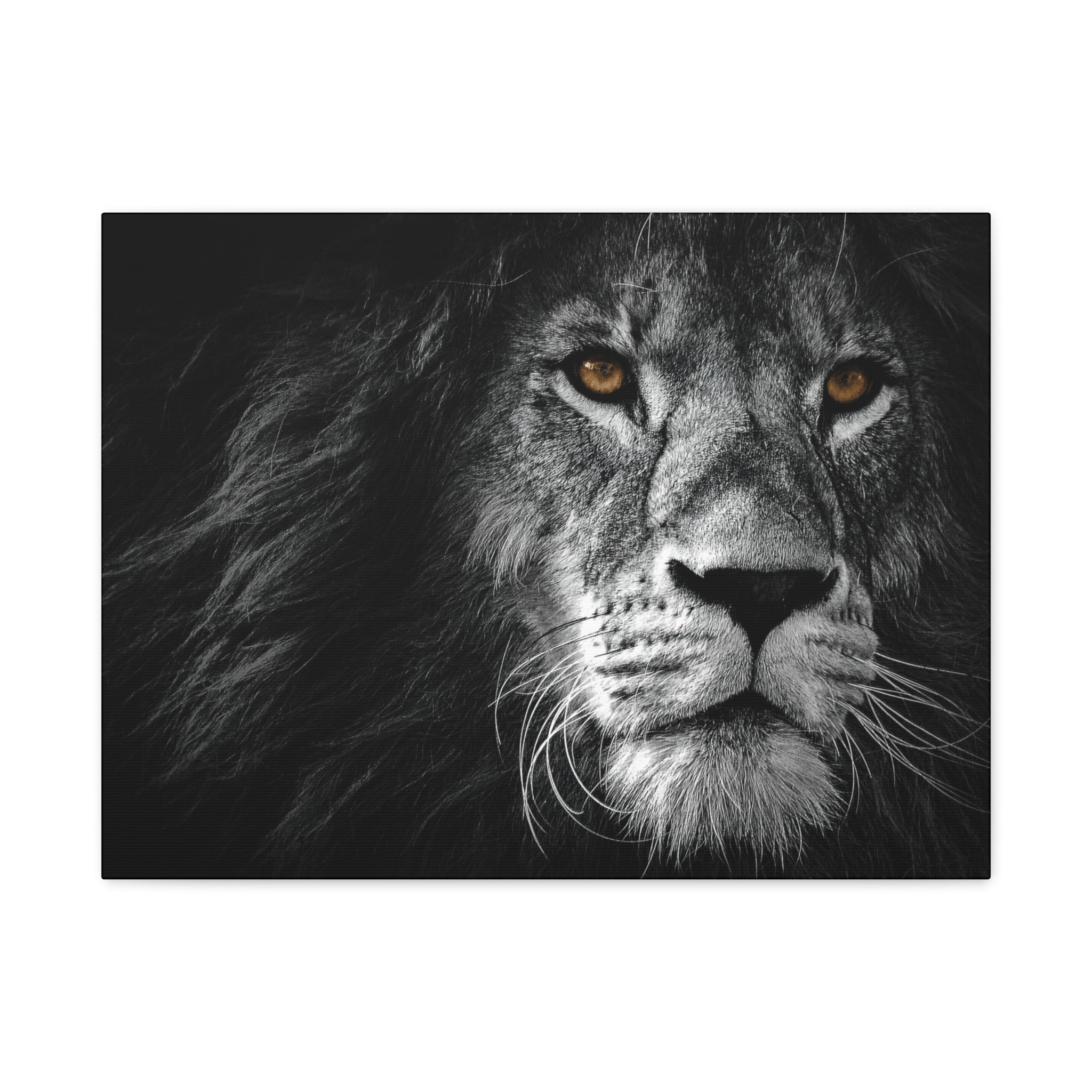 canvas-print-lion-wall-art-black-and-white-living-room-decor-matte-stretched-lion-poster-jungle-animal-art-print-wildlife-saf