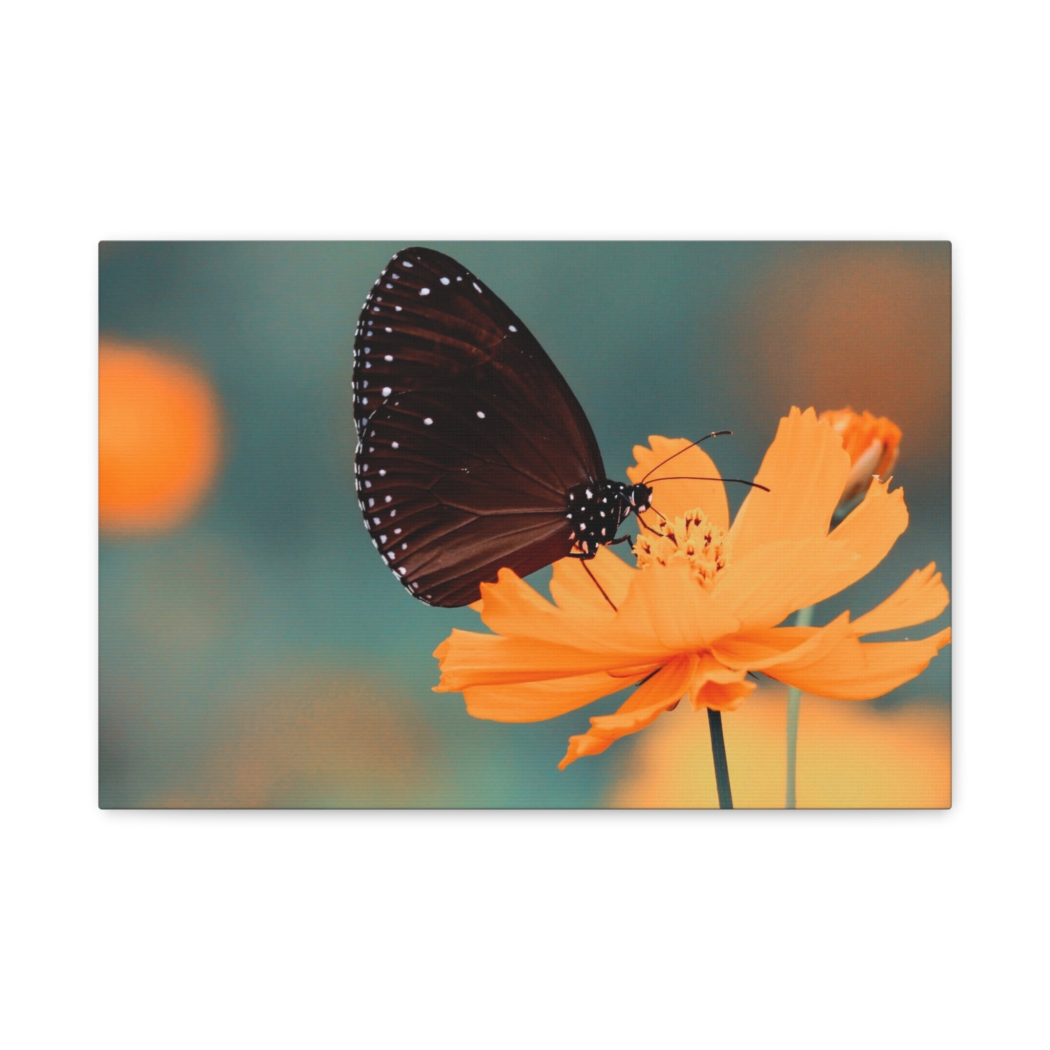 canvas-print-aesthetic-butterfly-monarch-butterfly-living-room-decor-housewarming-gift-wall-art-nature-wall-art-butterfly-dec