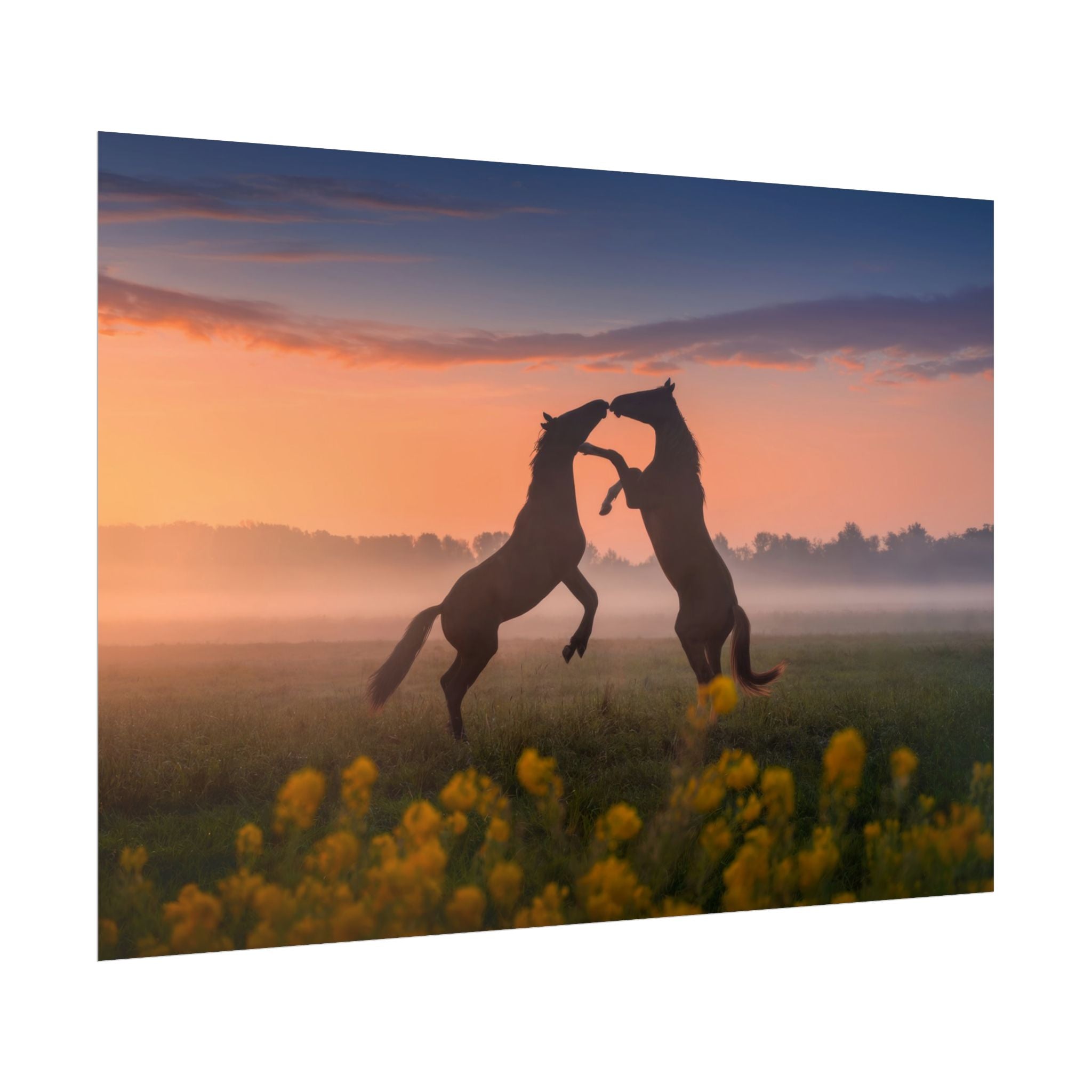 Wild Rising Horses Poster Print, Field of Flowers Decor, Home Decor, Farmhouse Wall Decor, Nature Wall Art, Horse Canvas Print, Mustang