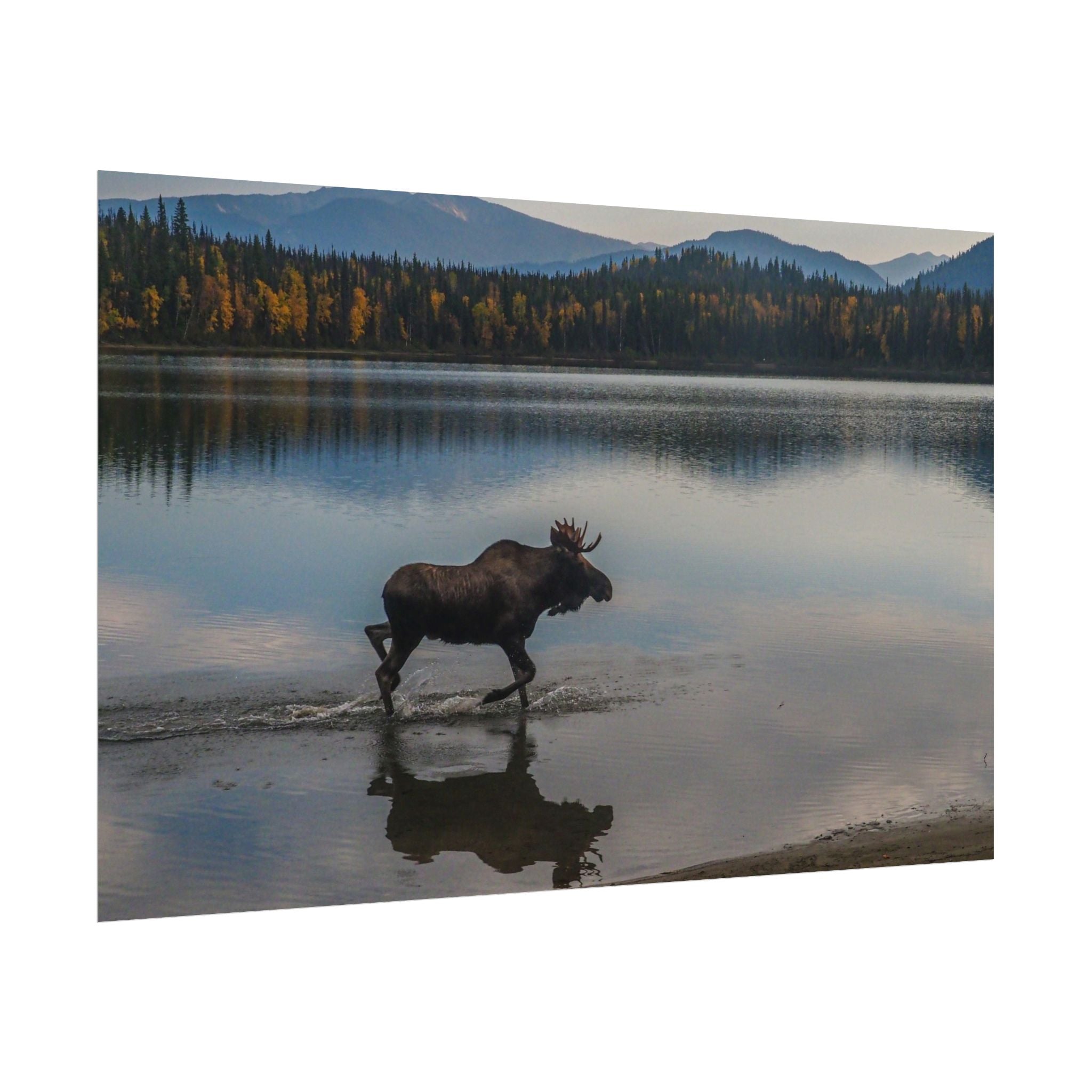 rustic-moose-poster-wall-decor-cabin-lodge-wildlife-painting-nature-home-decor-wilderness-animal-poster-farmhouse-wall-art