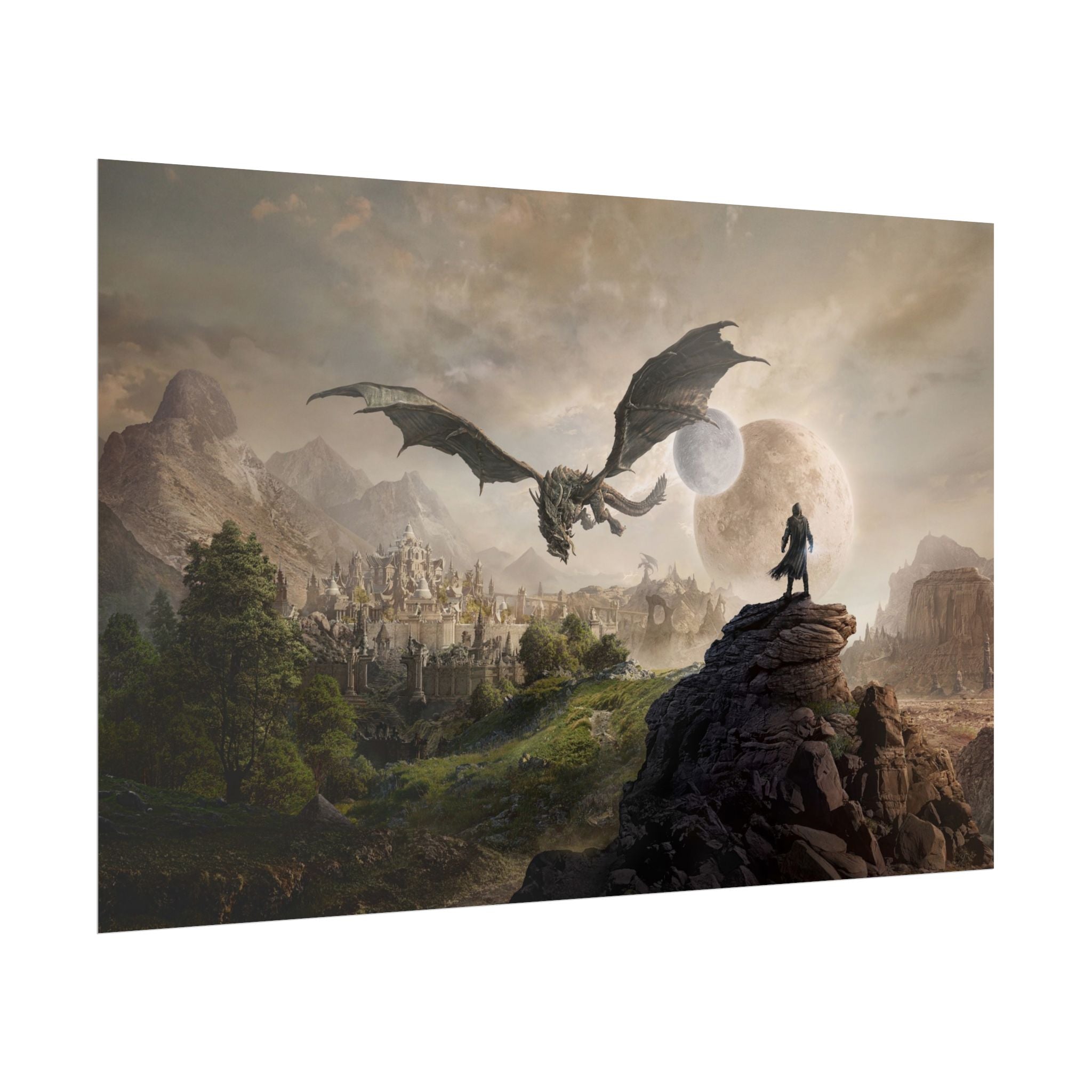 the-elder-scrolls-skyrim-elsweyr-poster-wall-art-viking-warrior-cat-game-poster-print-room-decor-gaming-wall-a