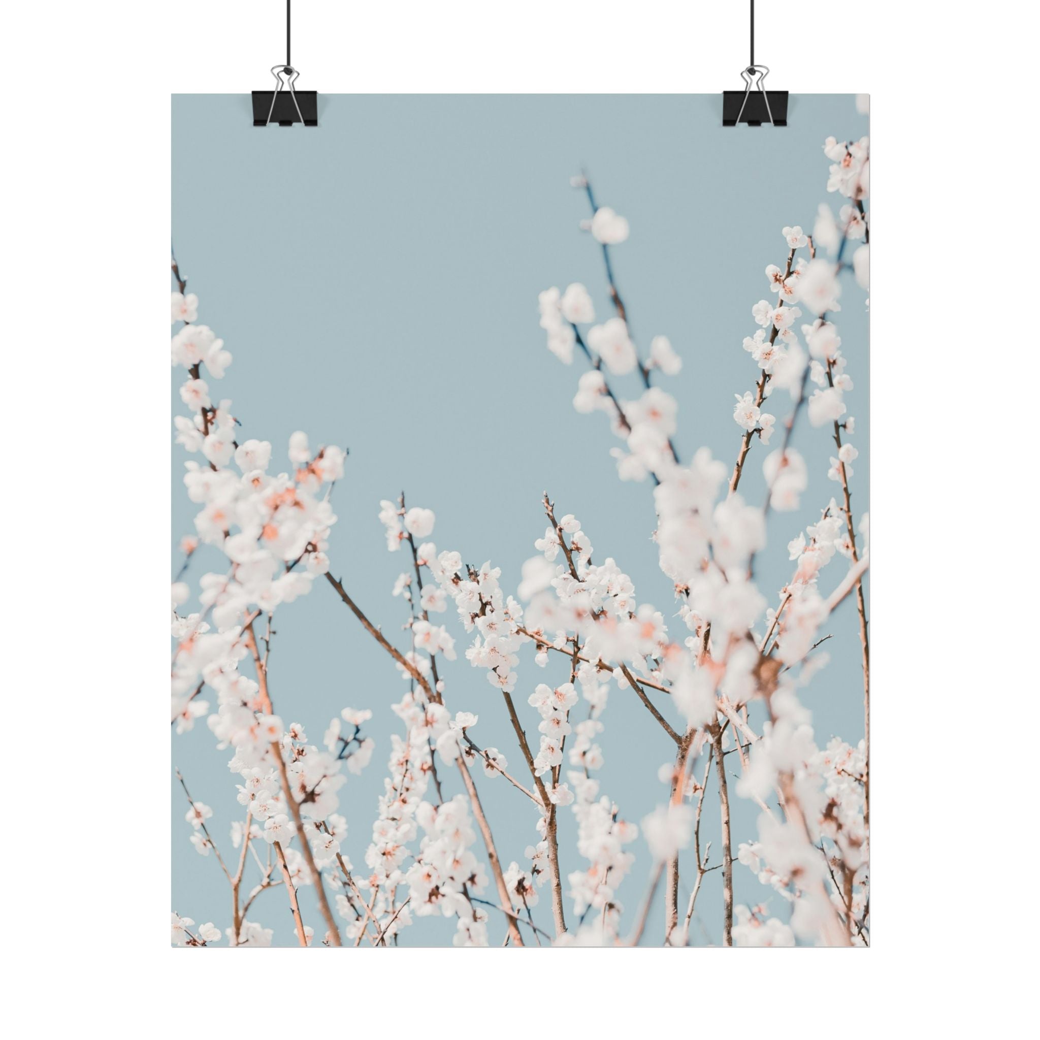 blossom-flowers-poster-print-minimalist-aesthetic-wall-art-fine-art-paper-home-decor-floral-decor-elegant-artwork