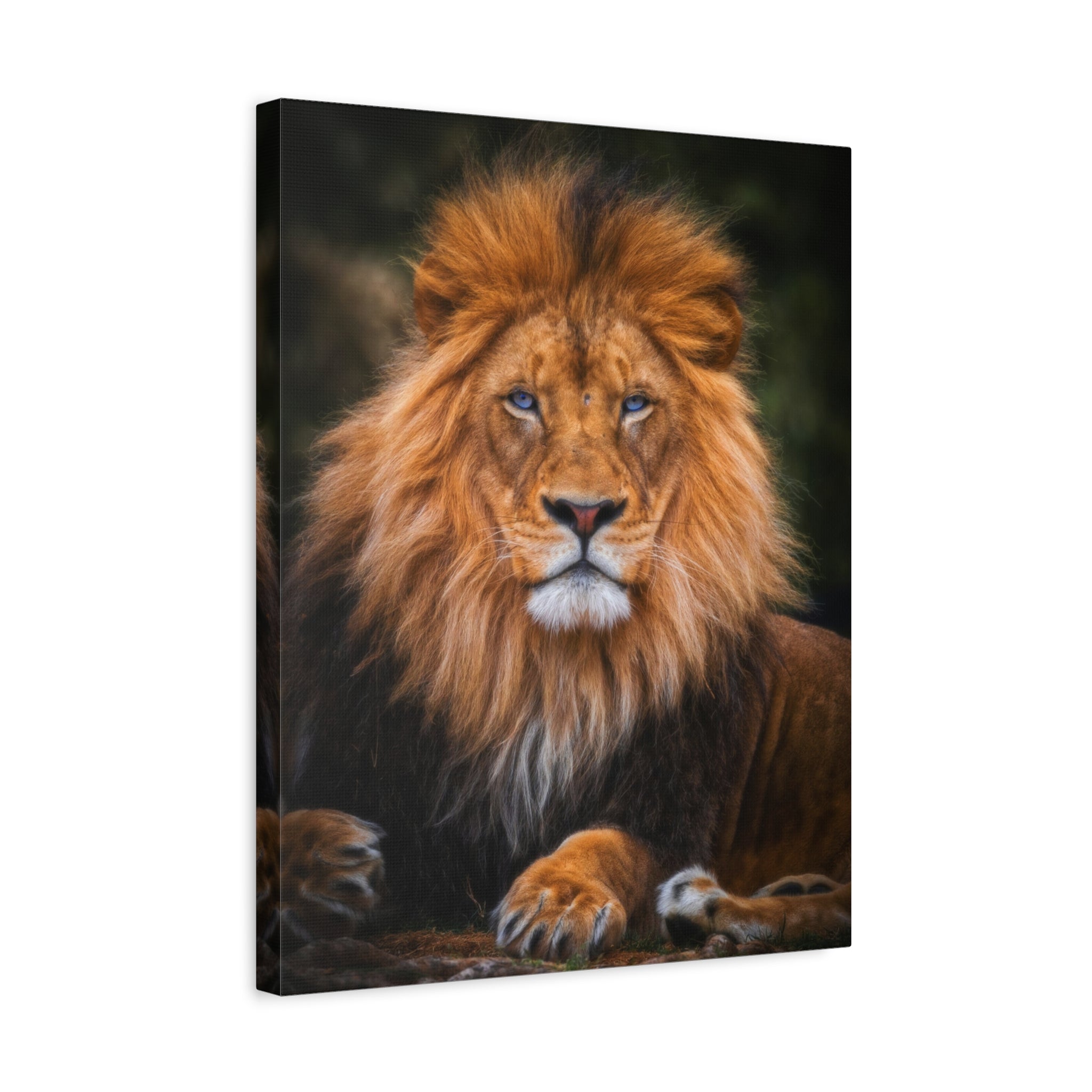 canvas-print-blue-eyed-lion-wall-art-wildlife-home-decor-animal-lover-gift-safari-nursery-decoration-wildlife-art-print-lion-