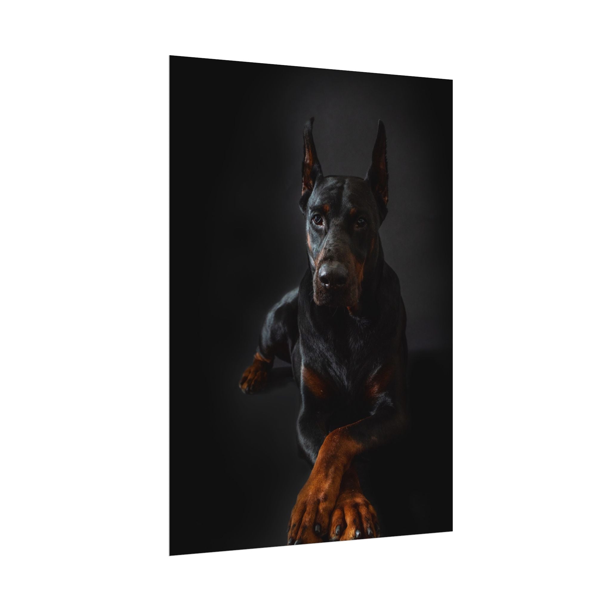 doberman-pincher-poster-print-rolled-posters-wall-art-home-decor-dog-lover-gift-animal-art-room-decoration