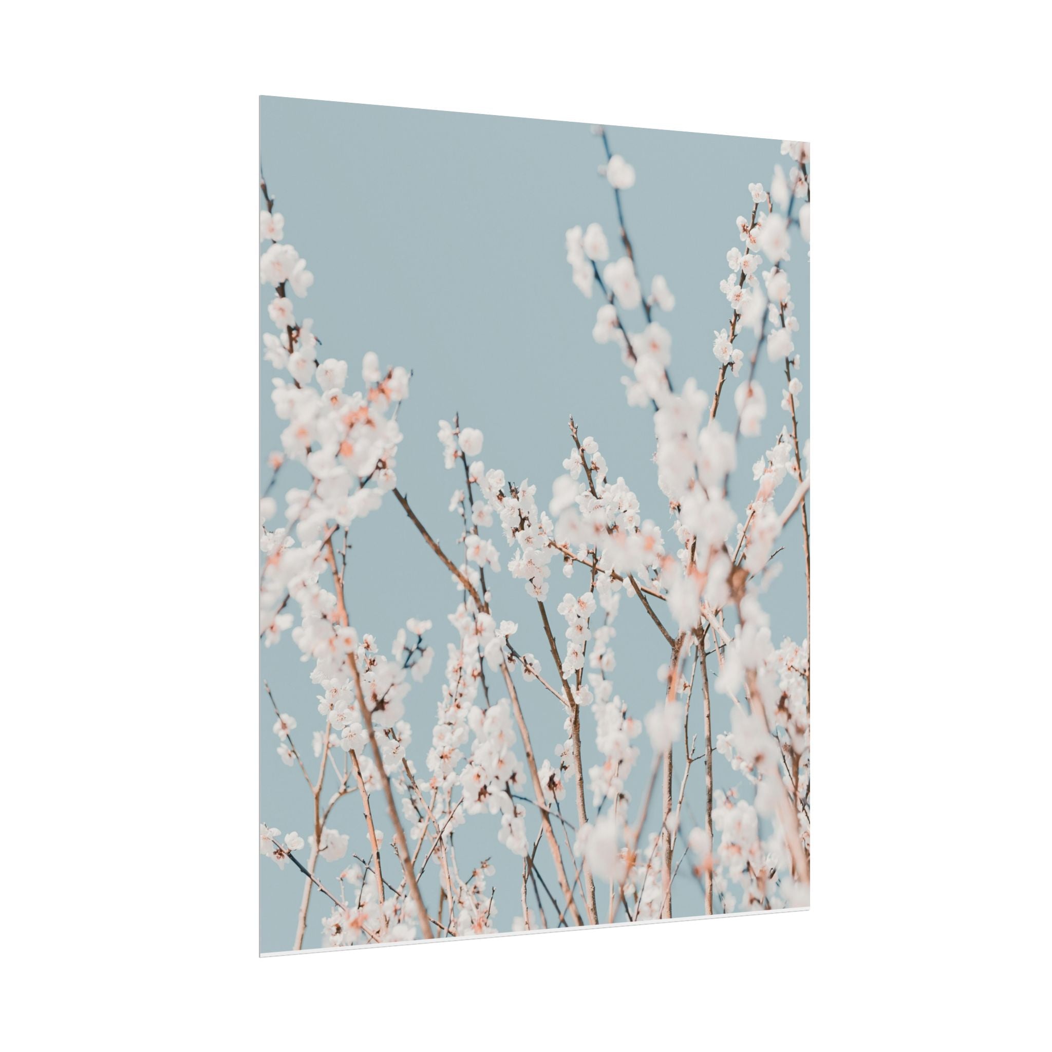 blossom-flowers-poster-print-minimalist-aesthetic-wall-art-fine-art-paper-home-decor-floral-decor-elegant-artwork