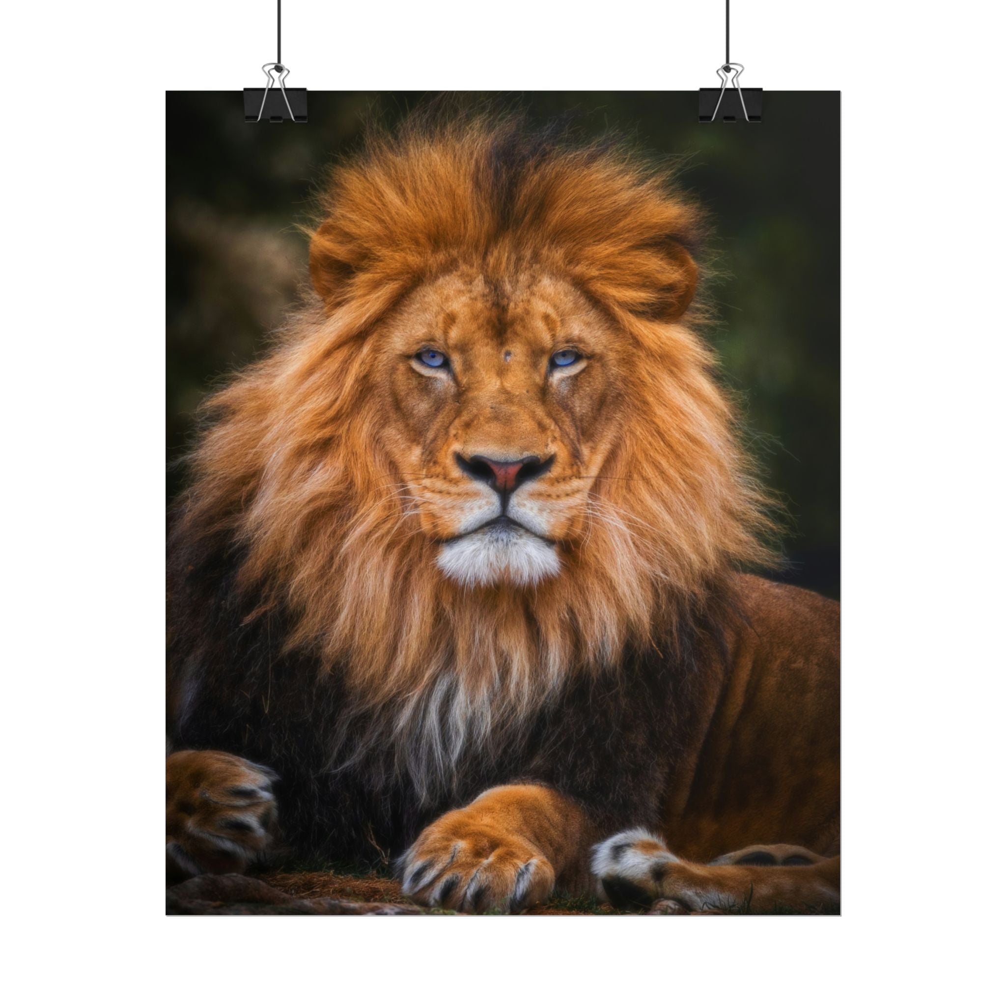 blue-eyed-lion-poster-wall-art-wildlife-home-decor-animal-lover-gift-safari-decoration-wildlife-art-print-lion-wall-decor