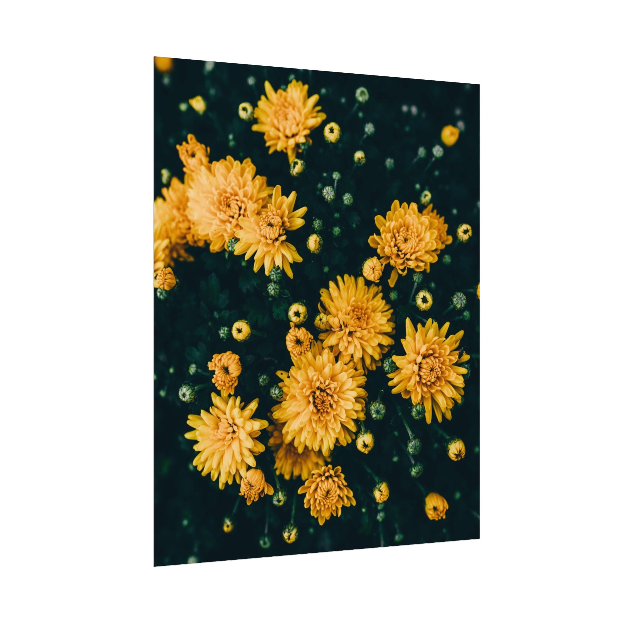 yellow-flower-art-poster-print-floral-wall-decor-floral-home-decor-gift-dark-botanical-art-print
