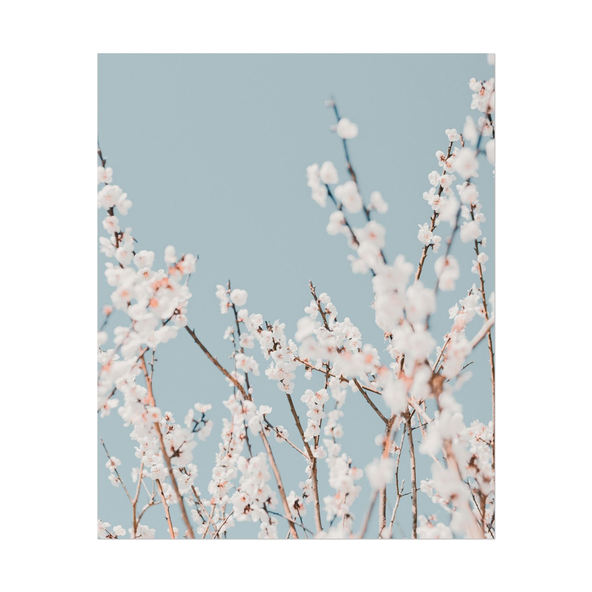 blossom-flowers-poster-print-minimalist-aesthetic-wall-art-fine-art-paper-home-decor-floral-decor-elegant-artwork