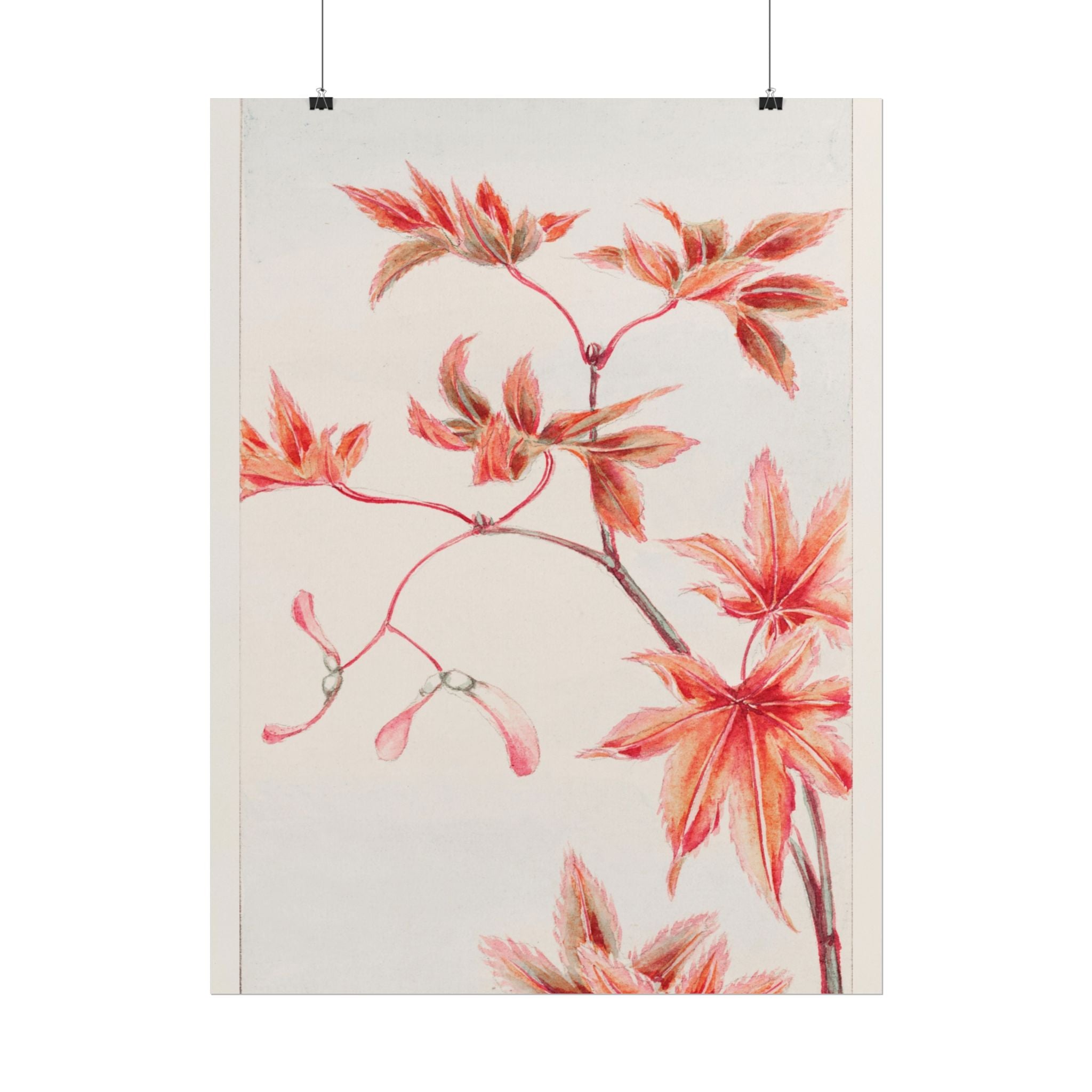 poster-print-branch-of-momiji-maple-tree-with-leaves-floral-wall-art-rolled-posters-wall-decor-room-decoration-nature-art-bot