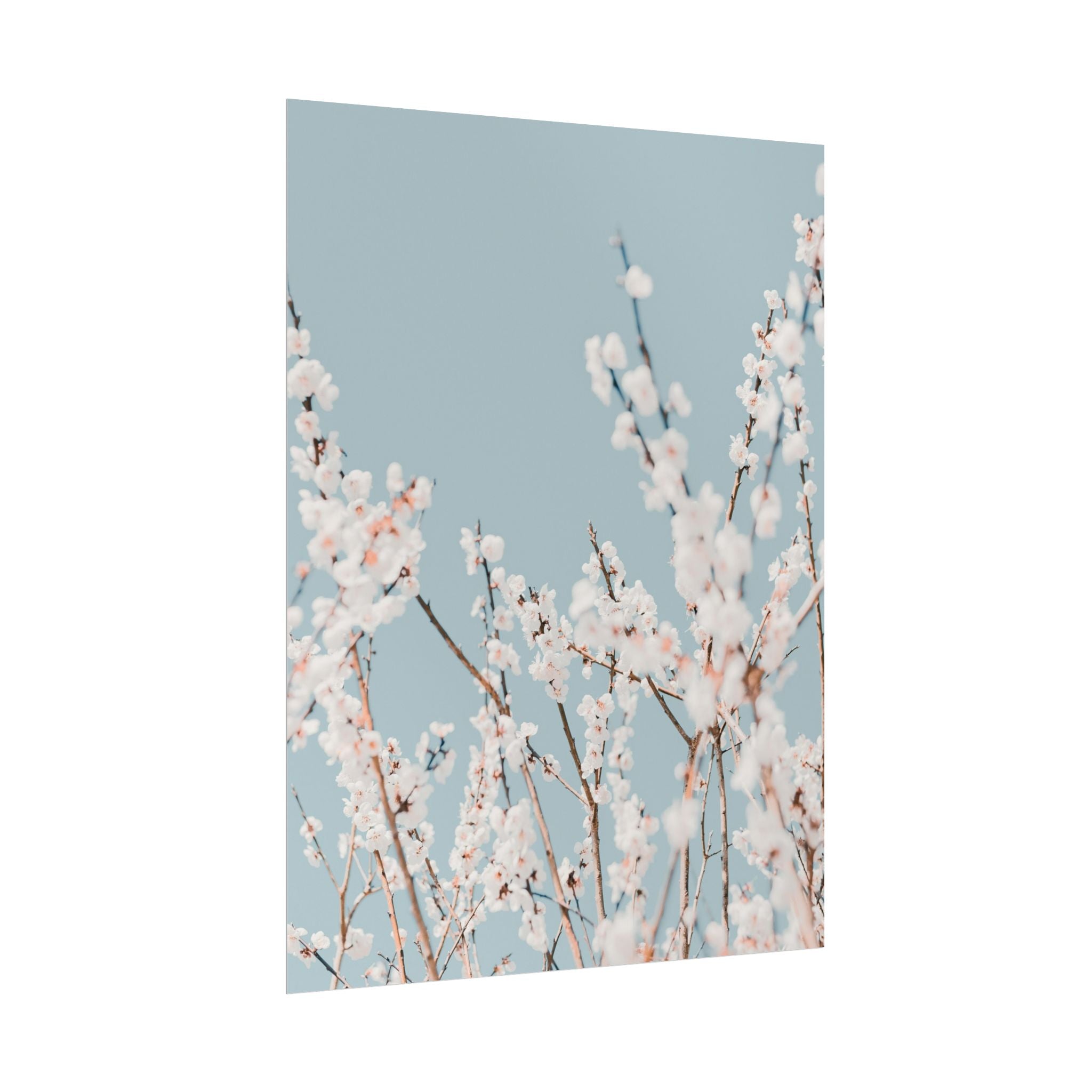 blossom-flowers-poster-print-minimalist-aesthetic-wall-art-fine-art-paper-home-decor-floral-decor-elegant-artwork