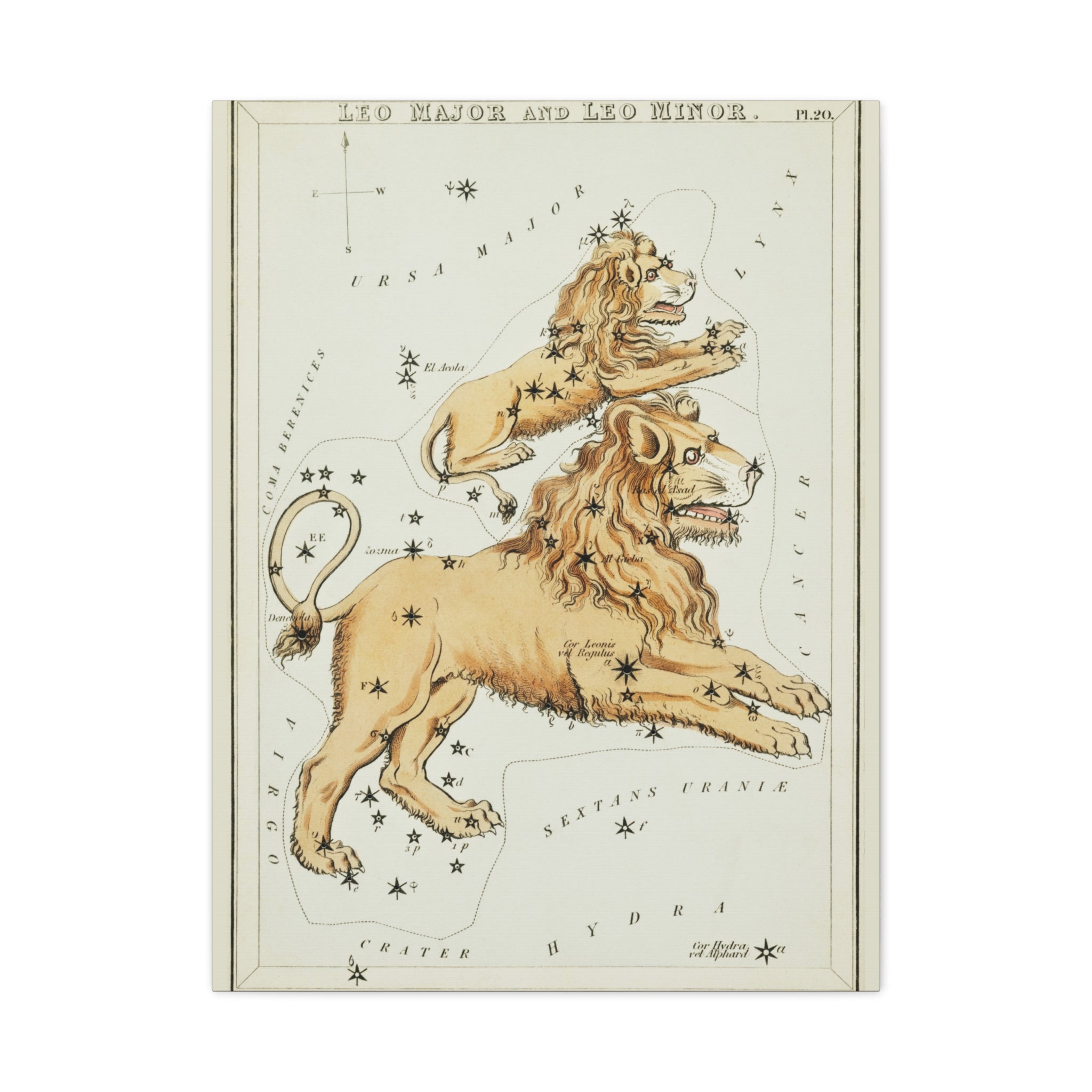 canvas-print-star-map-leo-major-leo-minor-celestial-gift-vintage-map-celestial-map-wall-art-decor-astronomy-decor-constellati
