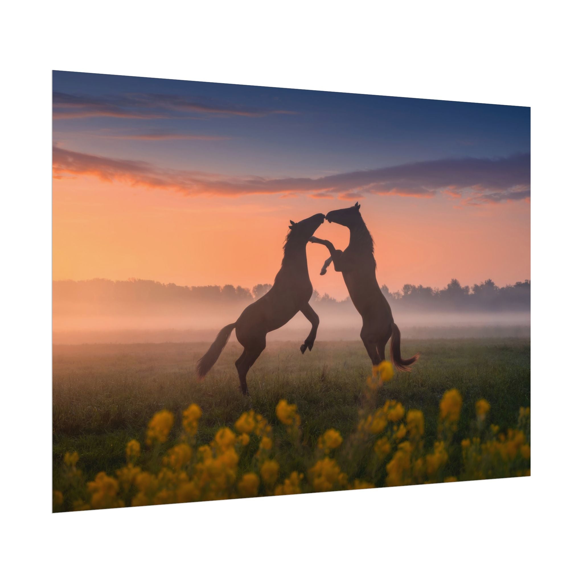 Wild Rising Horses Poster Print, Field of Flowers Decor, Home Decor, Farmhouse Wall Decor, Nature Wall Art, Horse Canvas Print, Mustang