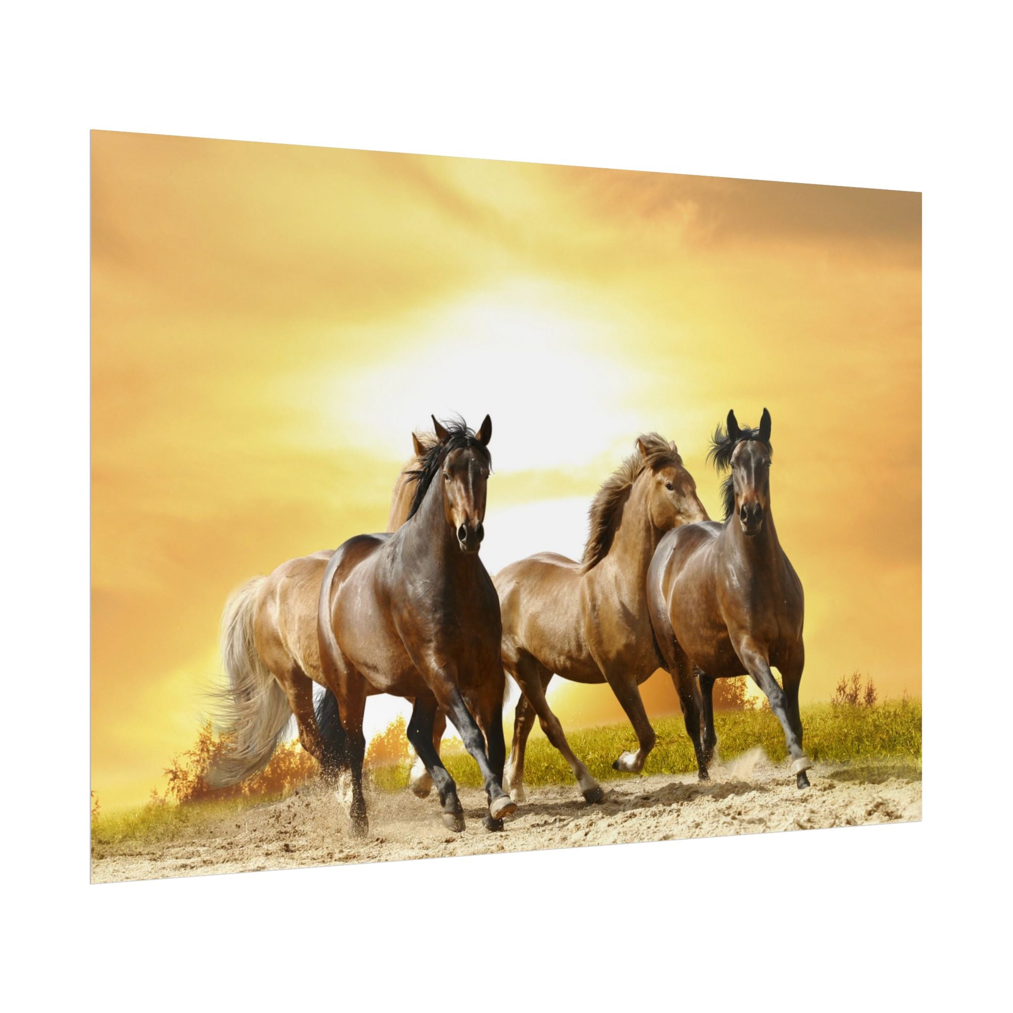 running-horse-poster-wall-art-farmhouse-wall-decor-home-decor-housewarming-gift-horse-print-wall-print-wild-animals