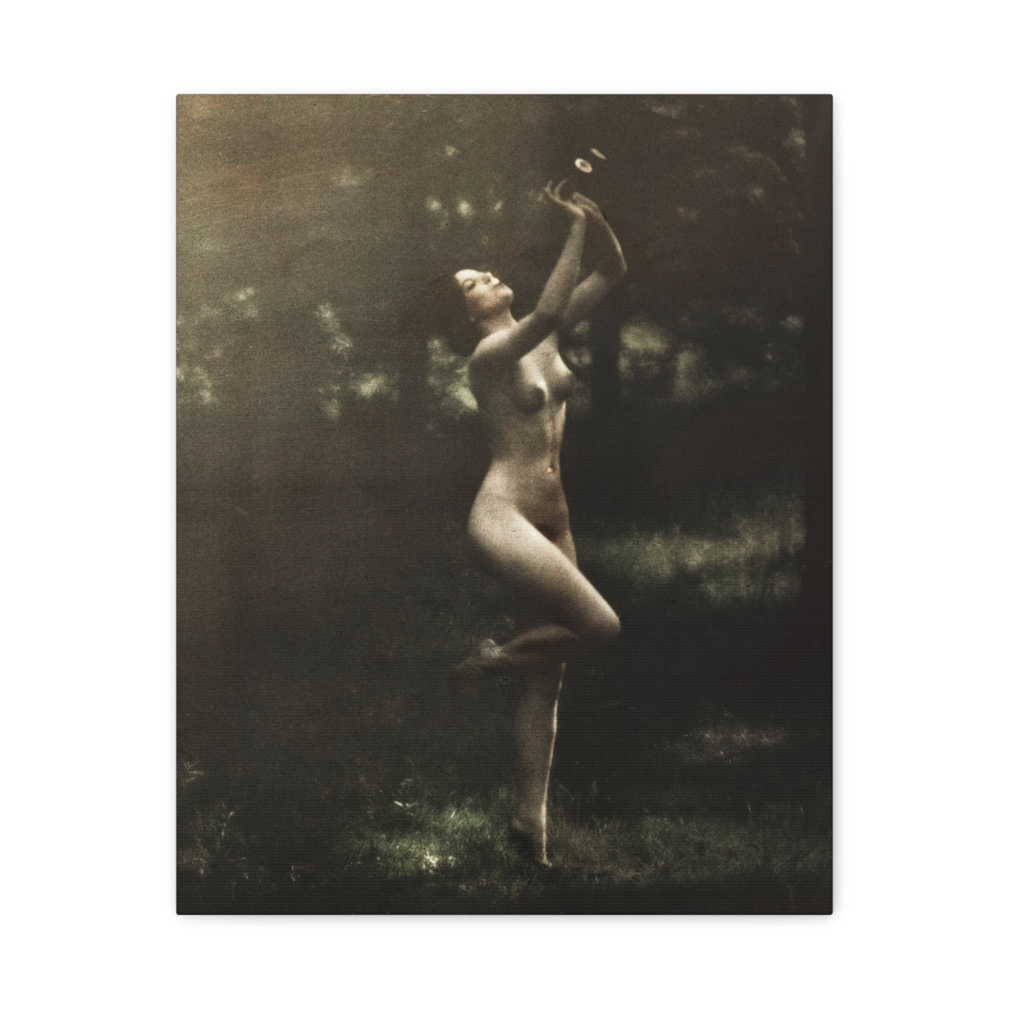 canvas-print-nude-dancer-by-arnold-genthe-nude-photography-nude-art-wall-decor-stretched-canvas-art-print-nature-photography