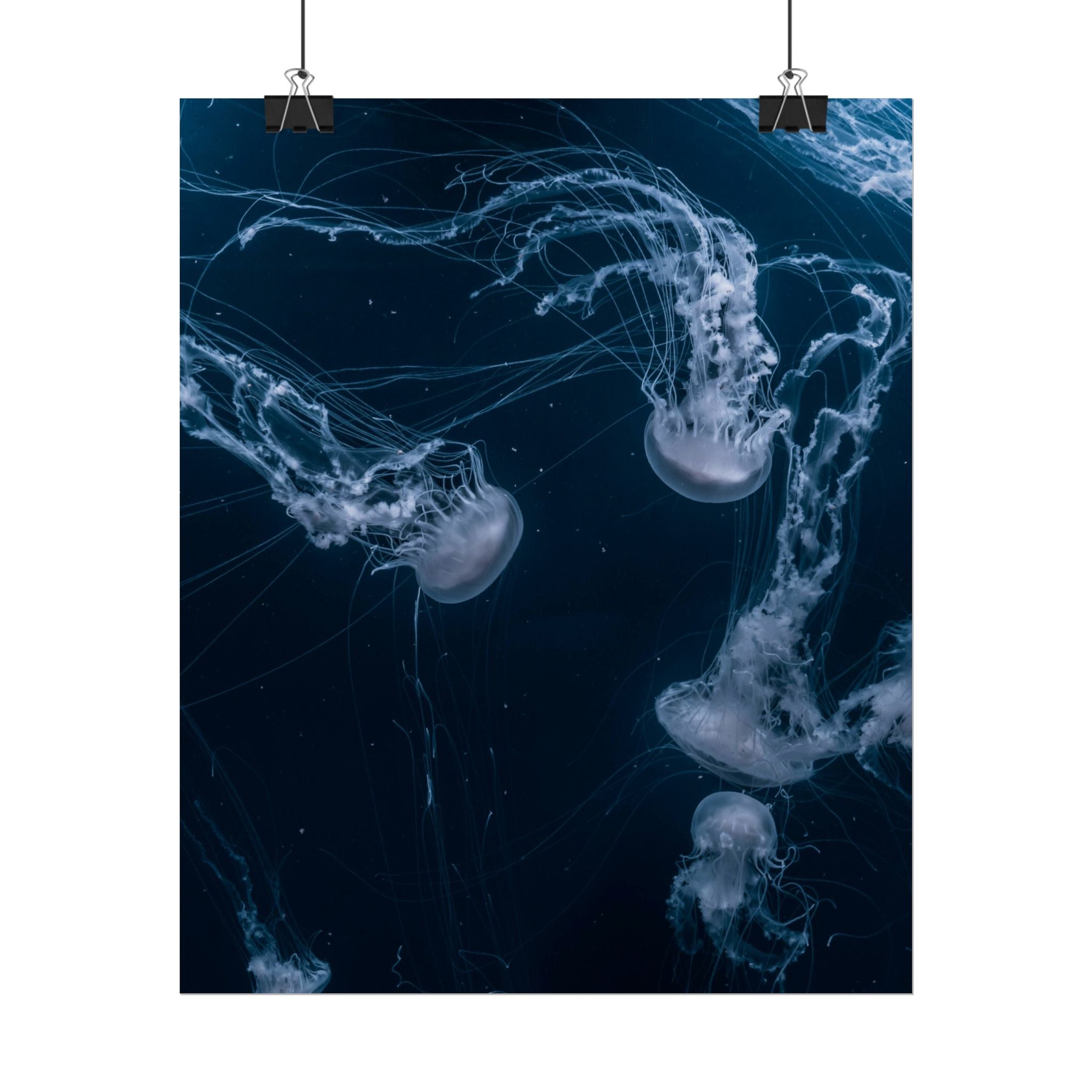 long-jellyfish-wall-art-poster-print-wall-hanging-ocean-life-deep-ocean-decor-home-decor-housewarming-gift