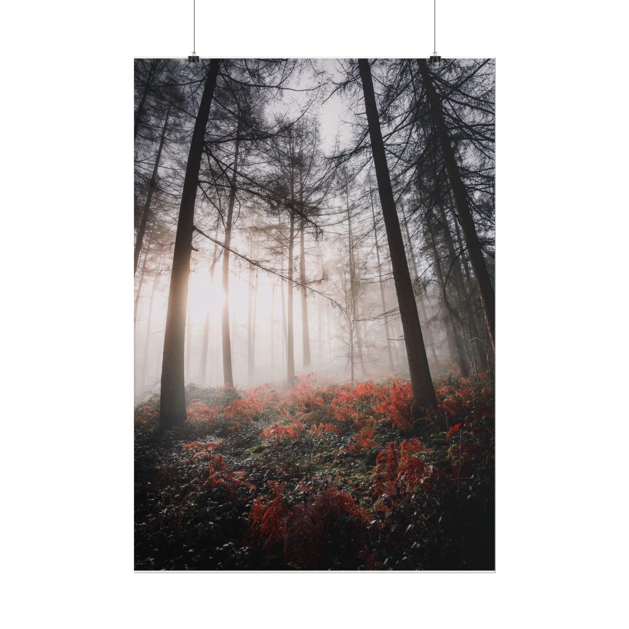 poster-print-misty-woods-art-living-room-wall-decor-sunlight-forest-landscape-aesthetic-nature-art-nature-artwork-poster-gift
