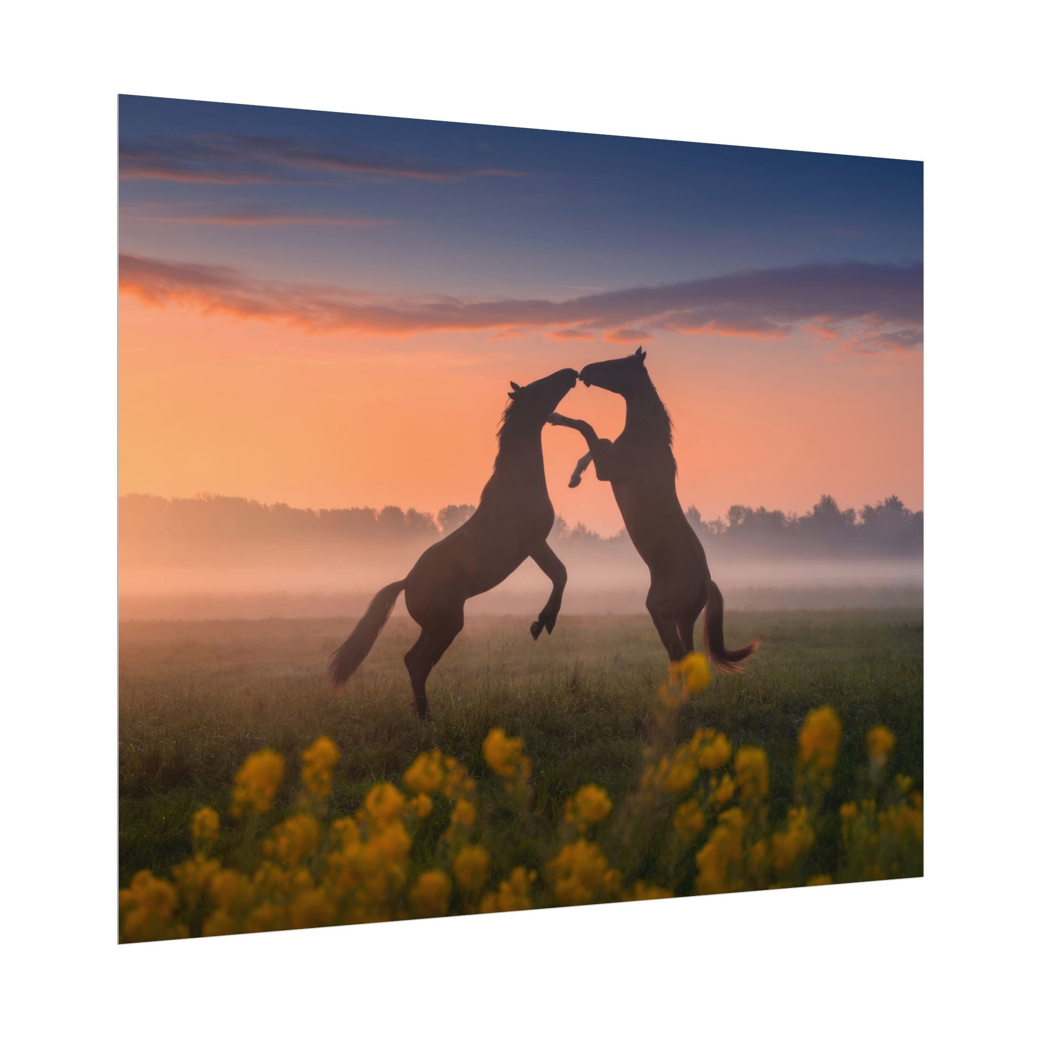 Wild Rising Horses Poster Print, Field of Flowers Decor, Home Decor, Farmhouse Wall Decor, Nature Wall Art, Horse Canvas Print, Mustang