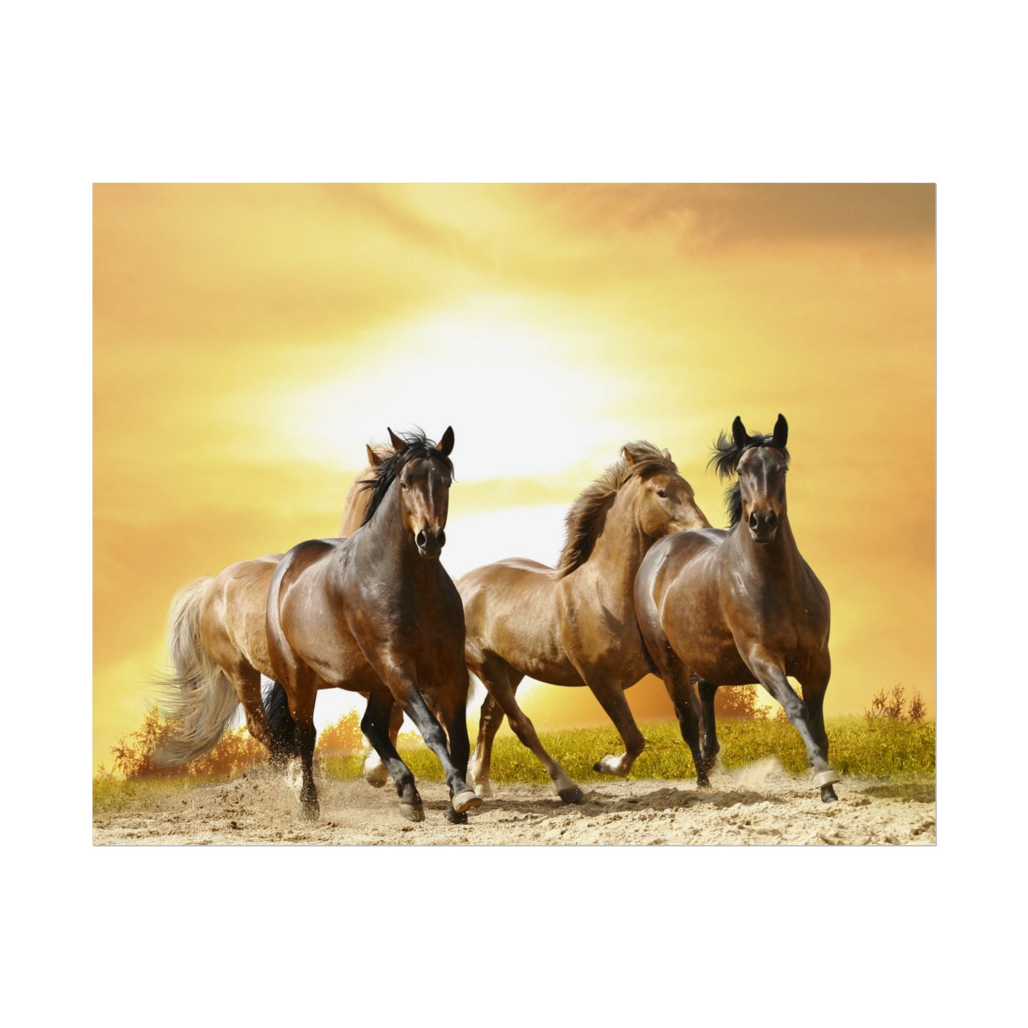 running-horse-poster-wall-art-farmhouse-wall-decor-home-decor-housewarming-gift-horse-print-wall-print-wild-animals