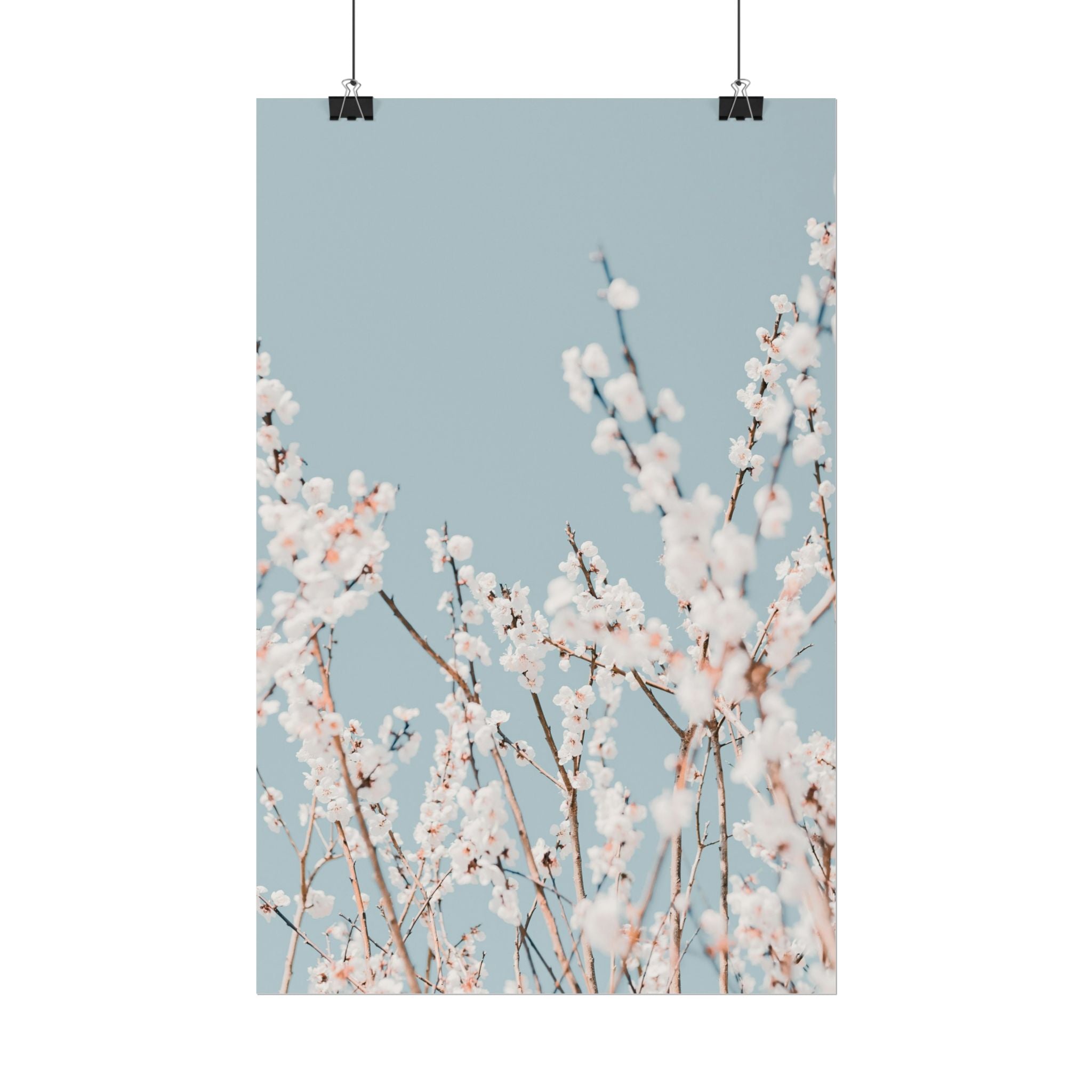 blossom-flowers-poster-print-minimalist-aesthetic-wall-art-fine-art-paper-home-decor-floral-decor-elegant-artwork