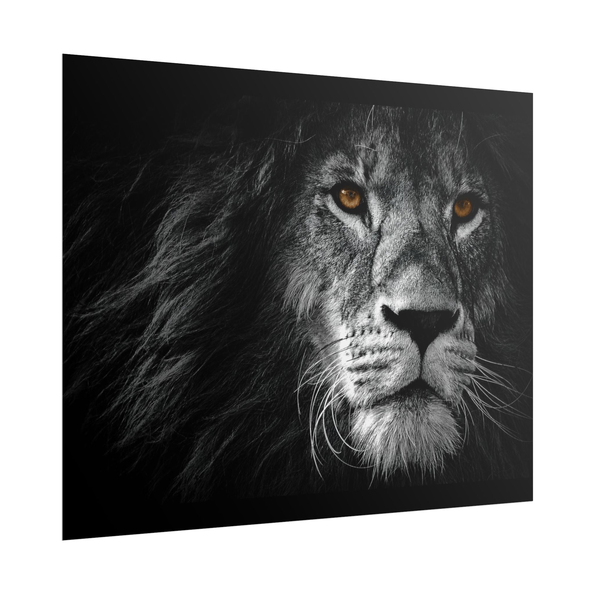 poster-print-lion-wall-art-black-and-white-monochrome-decor-living-room-decor-lion-poster-jungle-animal-art-print-wildlife-sa