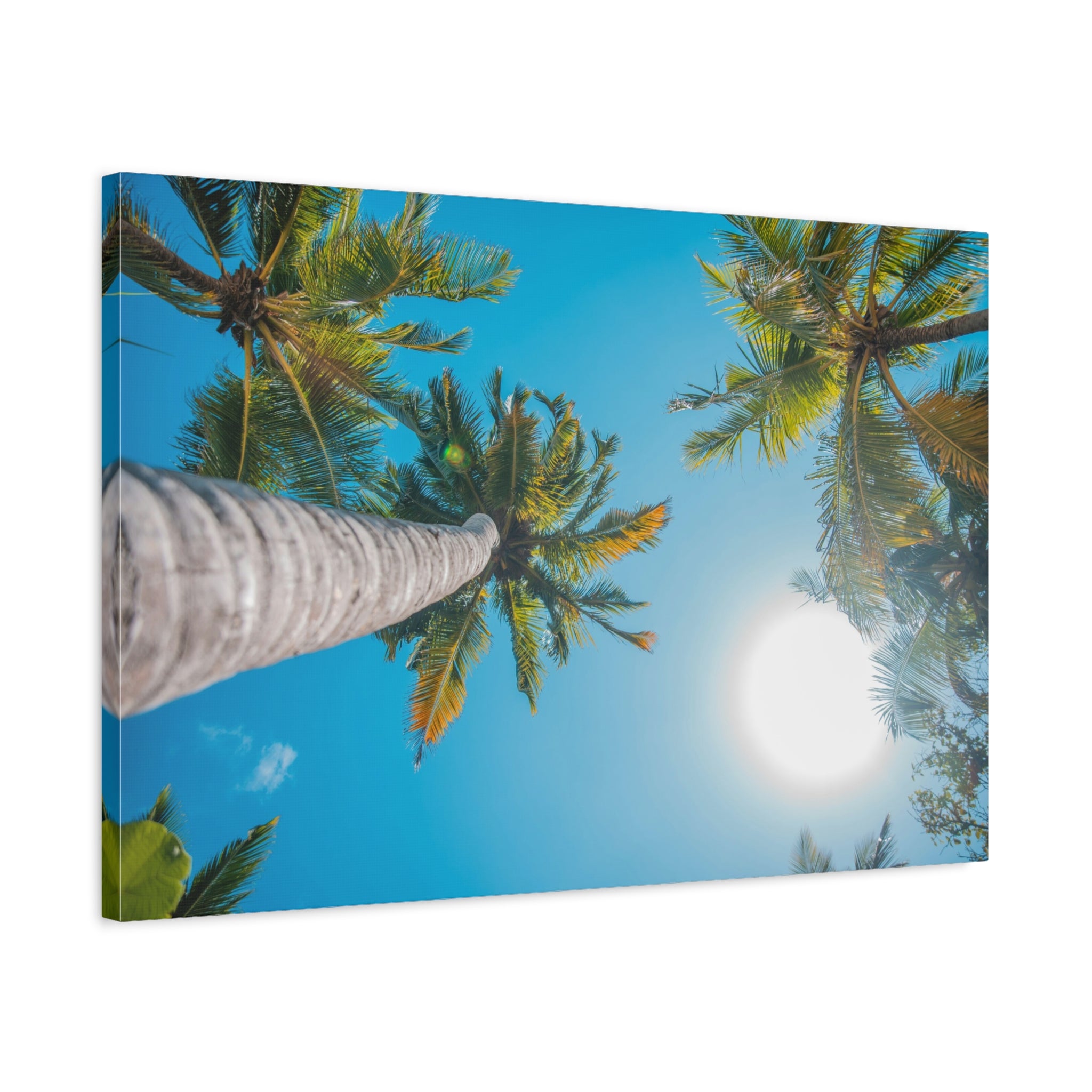 palm-tree-canvas-print-palm-tree-decor-wall-art-print-home-decor-palm-tree-fine-art-palm-tree-art-gallery-stretched-canvas-pr