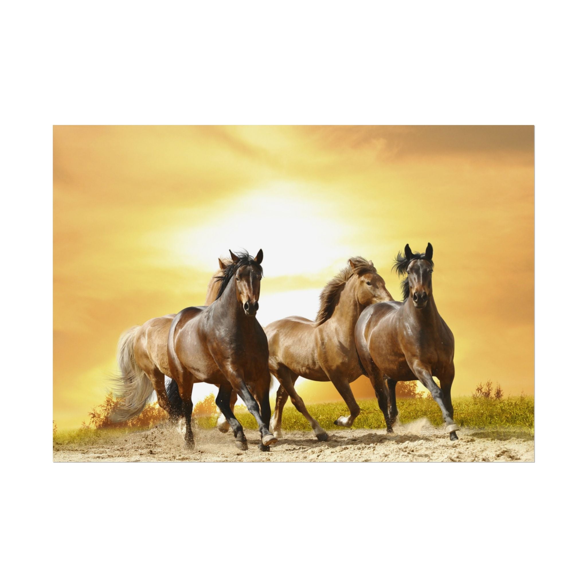 running-horse-poster-wall-art-farmhouse-wall-decor-home-decor-housewarming-gift-horse-print-wall-print-wild-animals