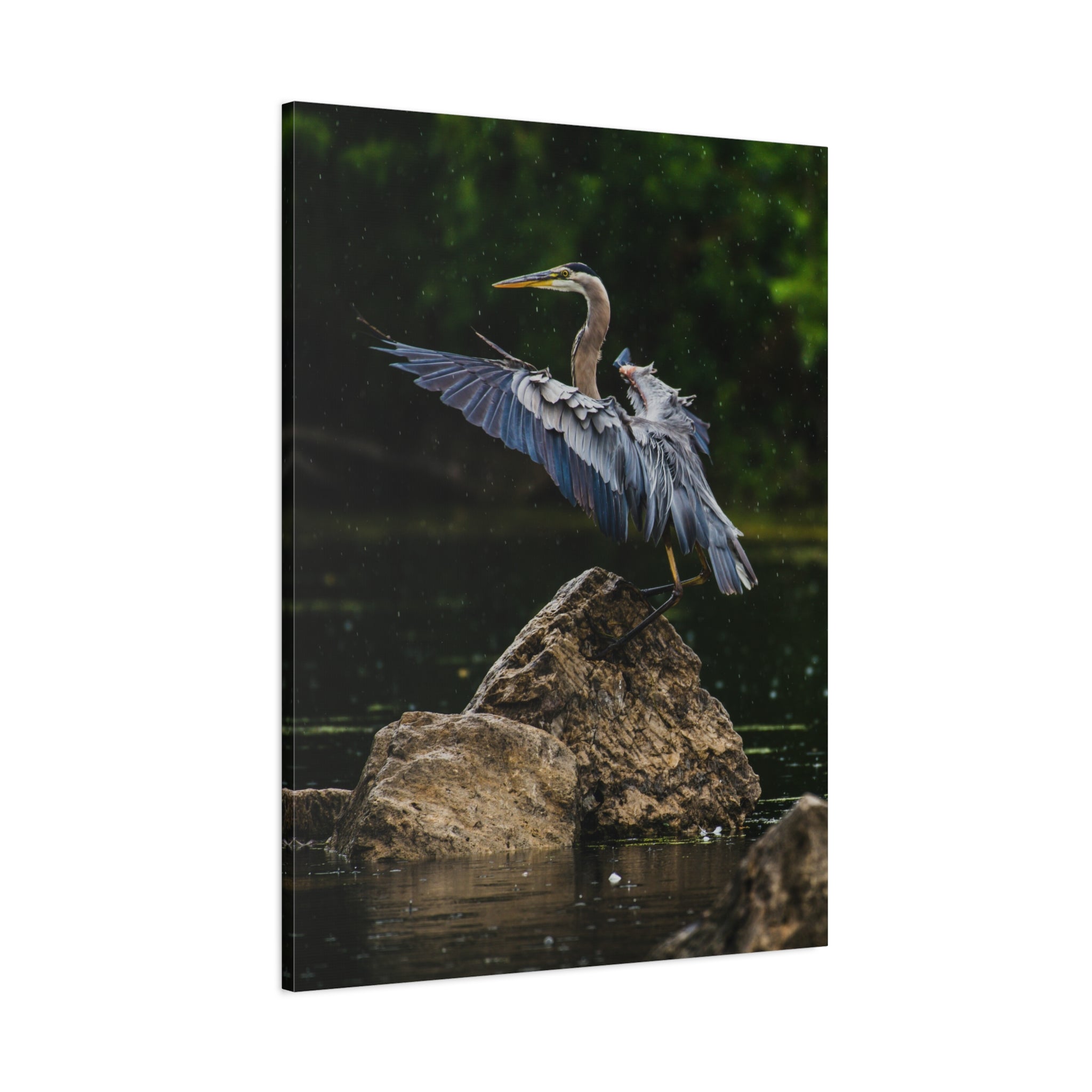 canvas-print-wall-art-great-blue-heron-matte-canvas-stretched-home-decor-bird-lover-gift-nature-wall-hanging-wildlife