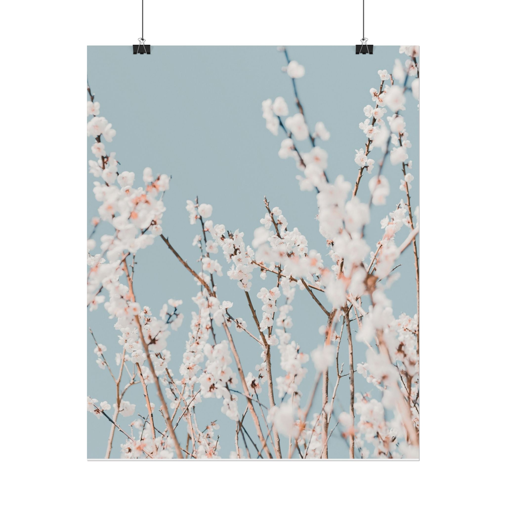 blossom-flowers-poster-print-minimalist-aesthetic-wall-art-fine-art-paper-home-decor-floral-decor-elegant-artwork