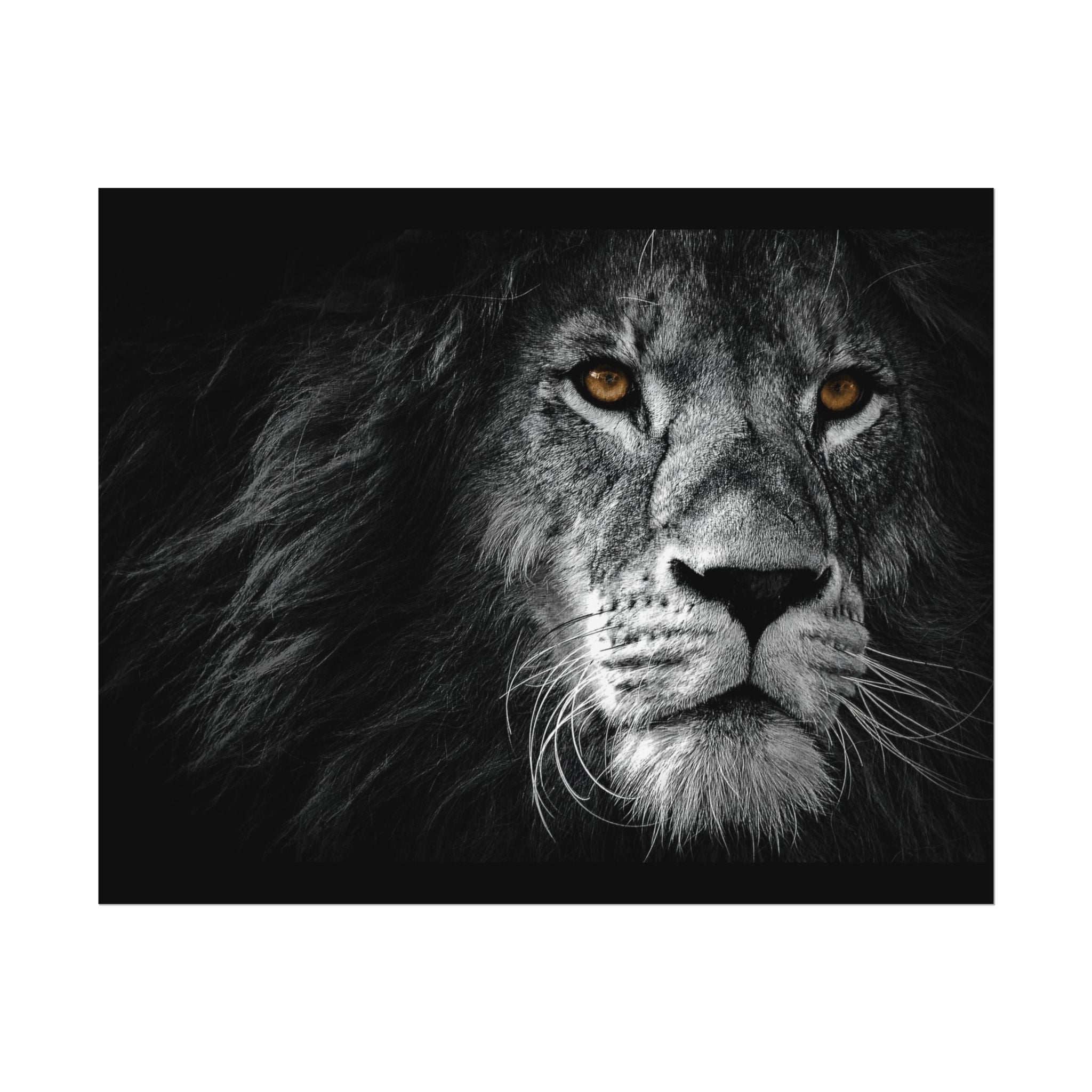 poster-print-lion-wall-art-black-and-white-monochrome-decor-living-room-decor-lion-poster-jungle-animal-art-print-wildlife-sa