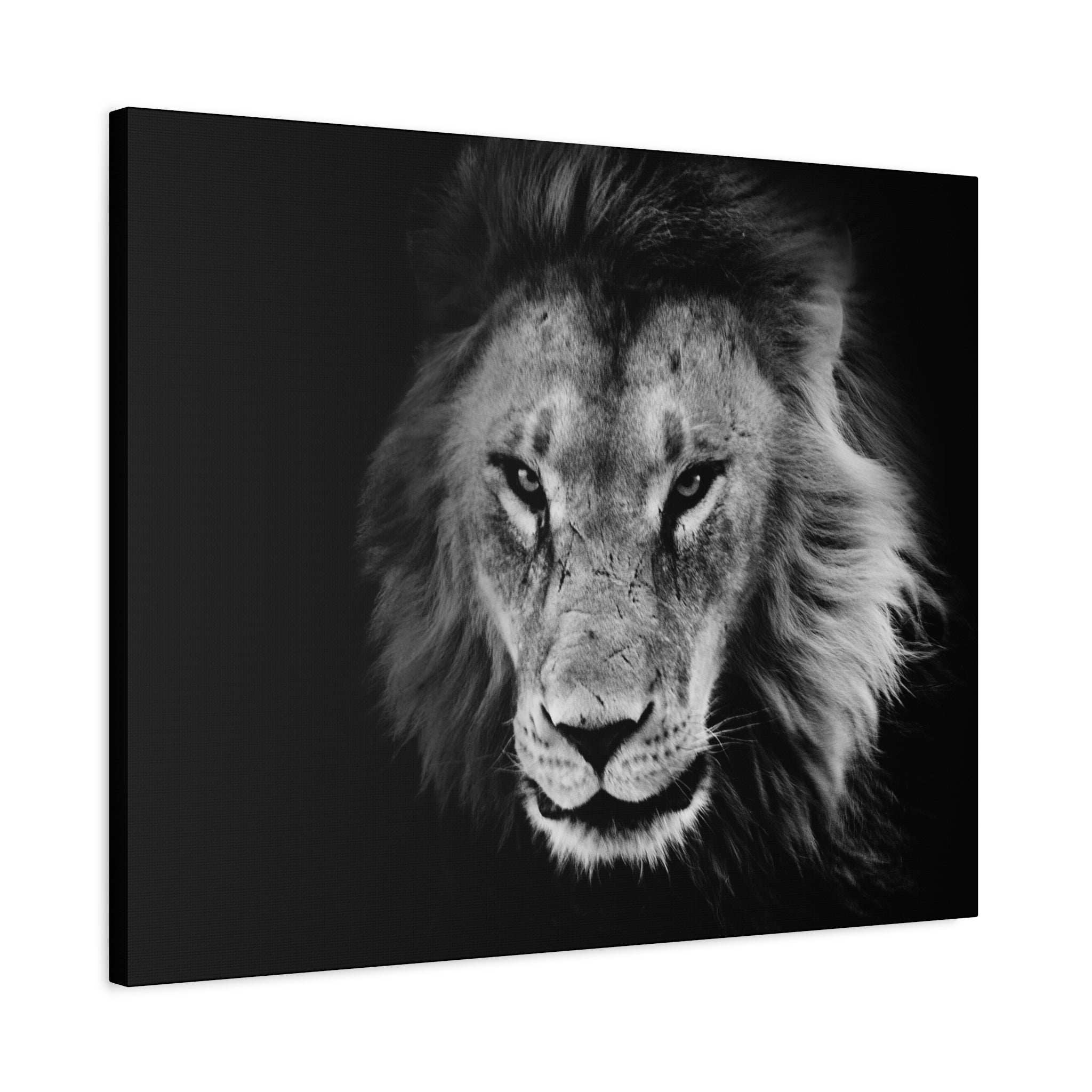 canvas-print-lion-wall-art-black-and-white-living-room-decor-matte-stretched-lion-poster-jungle-animal-art-print-wildlife-saf