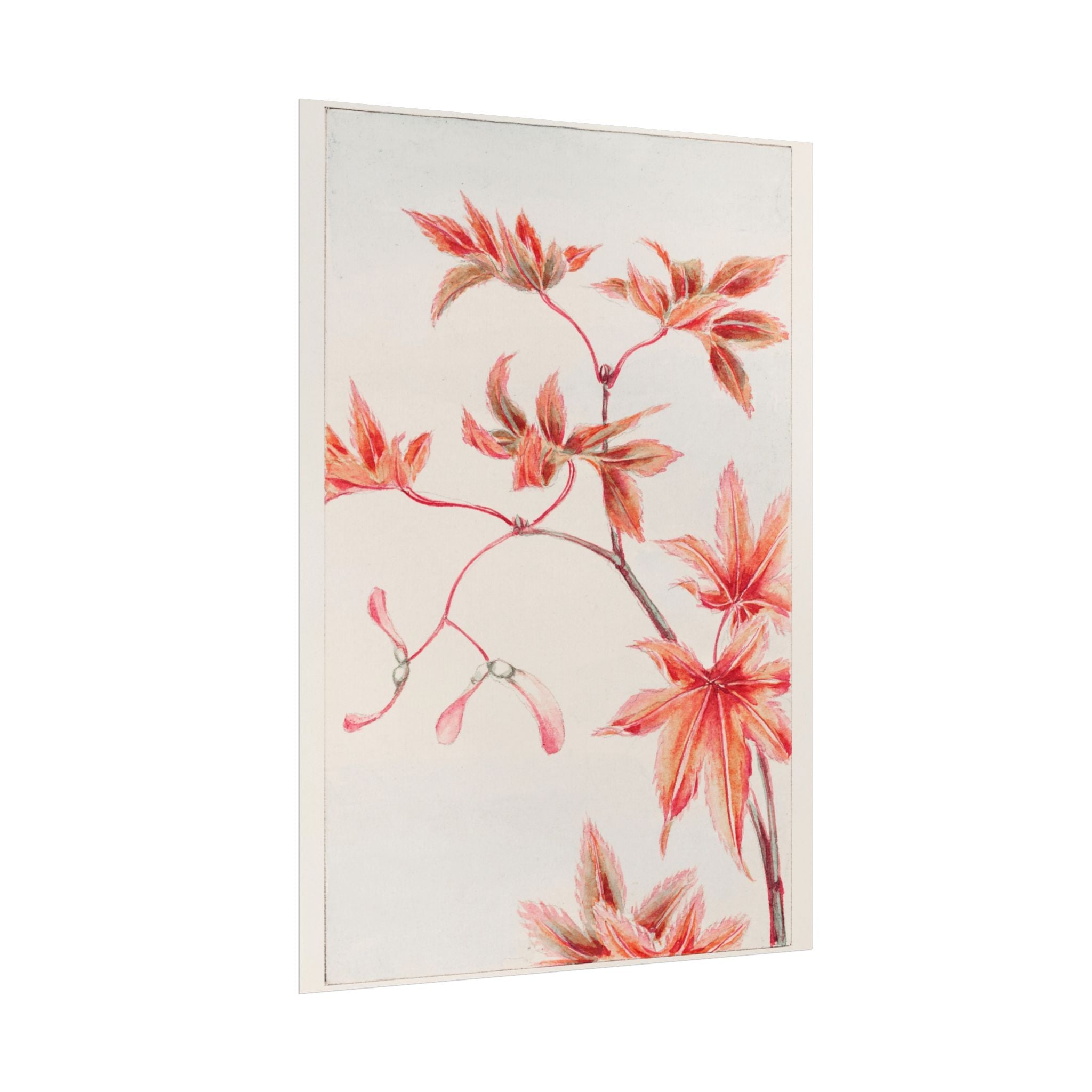 poster-print-branch-of-momiji-maple-tree-with-leaves-floral-wall-art-rolled-posters-wall-decor-room-decoration-nature-art-bot