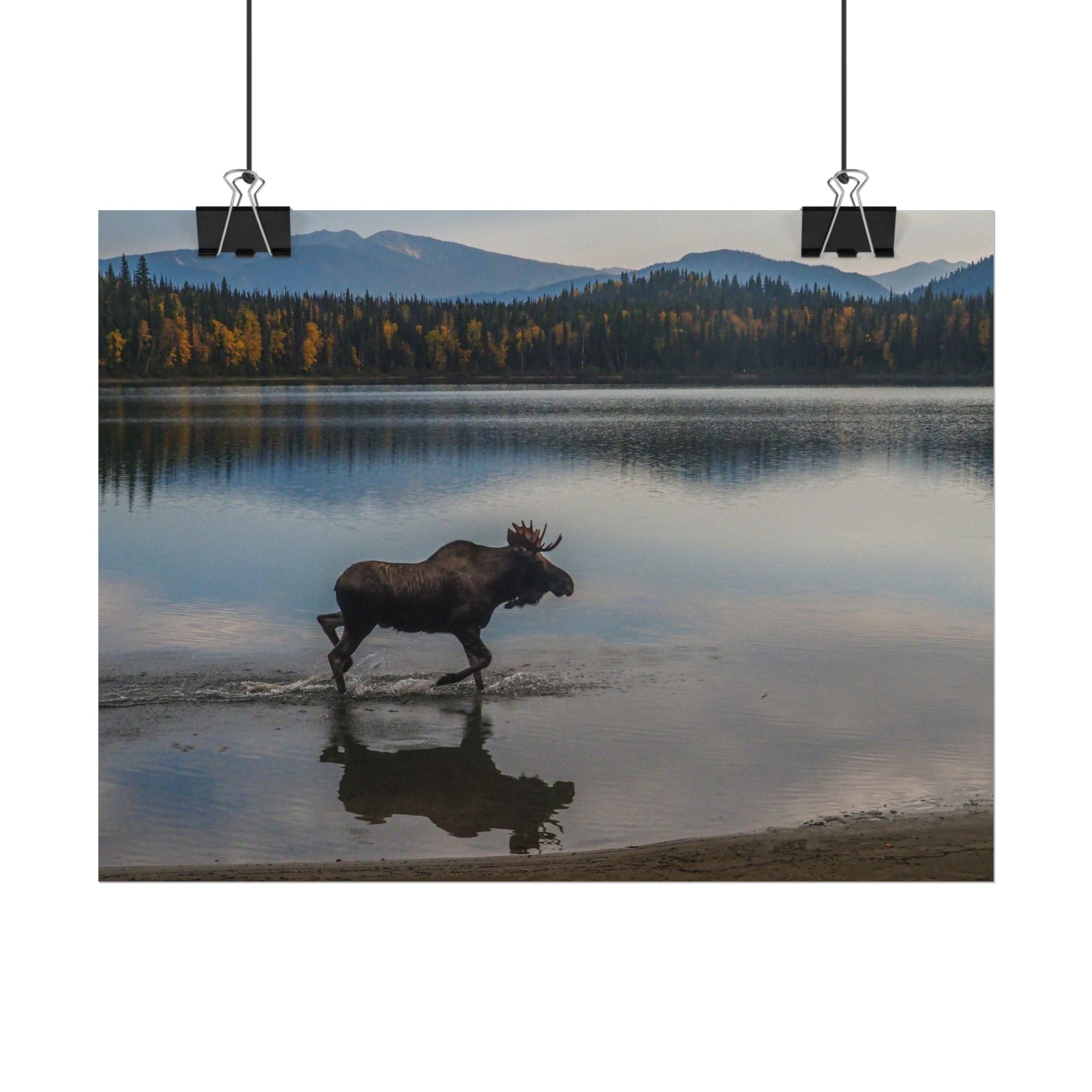 rustic-moose-poster-wall-decor-cabin-lodge-wildlife-painting-nature-home-decor-wilderness-animal-poster-farmhouse-wall-art