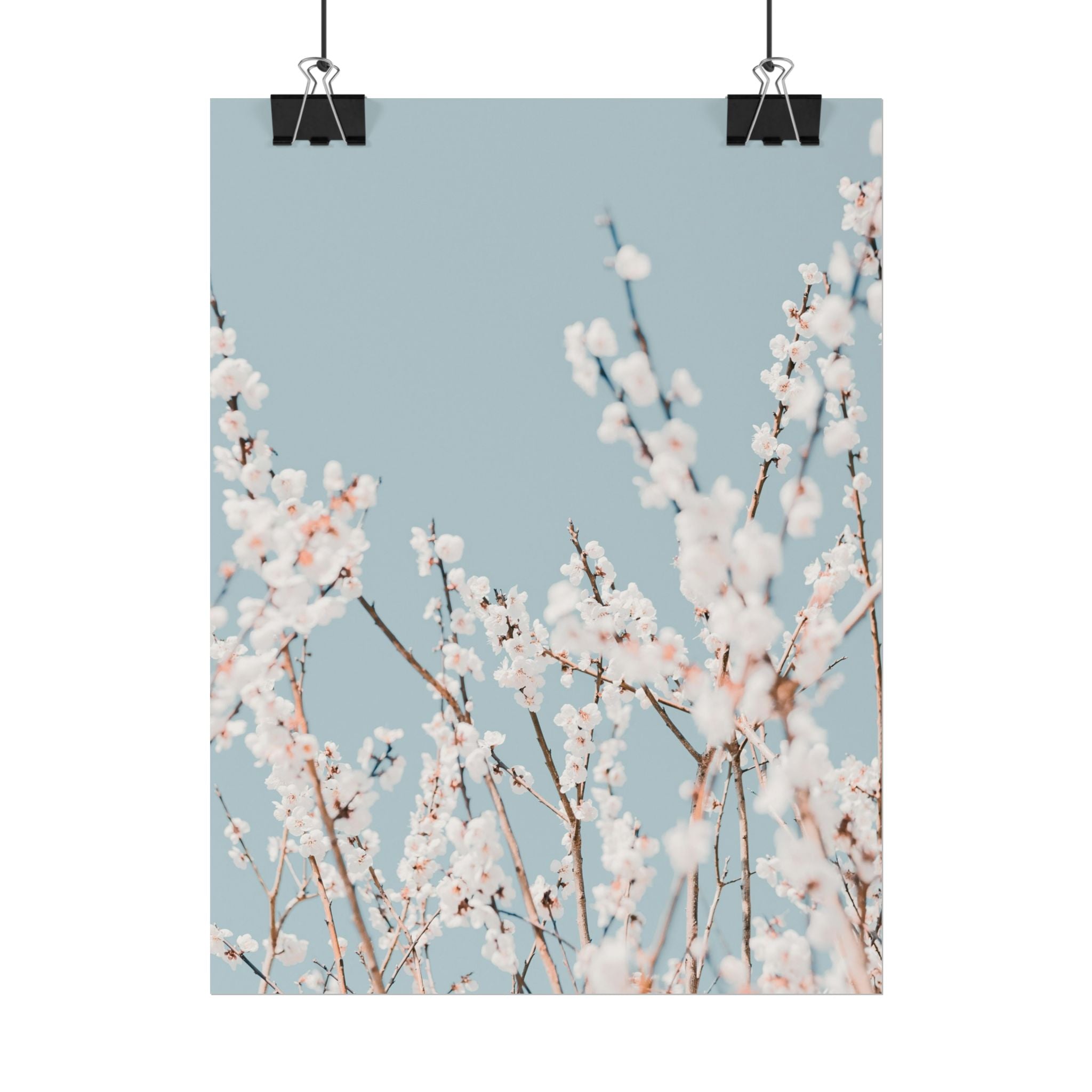 blossom-flowers-poster-print-minimalist-aesthetic-wall-art-fine-art-paper-home-decor-floral-decor-elegant-artwork