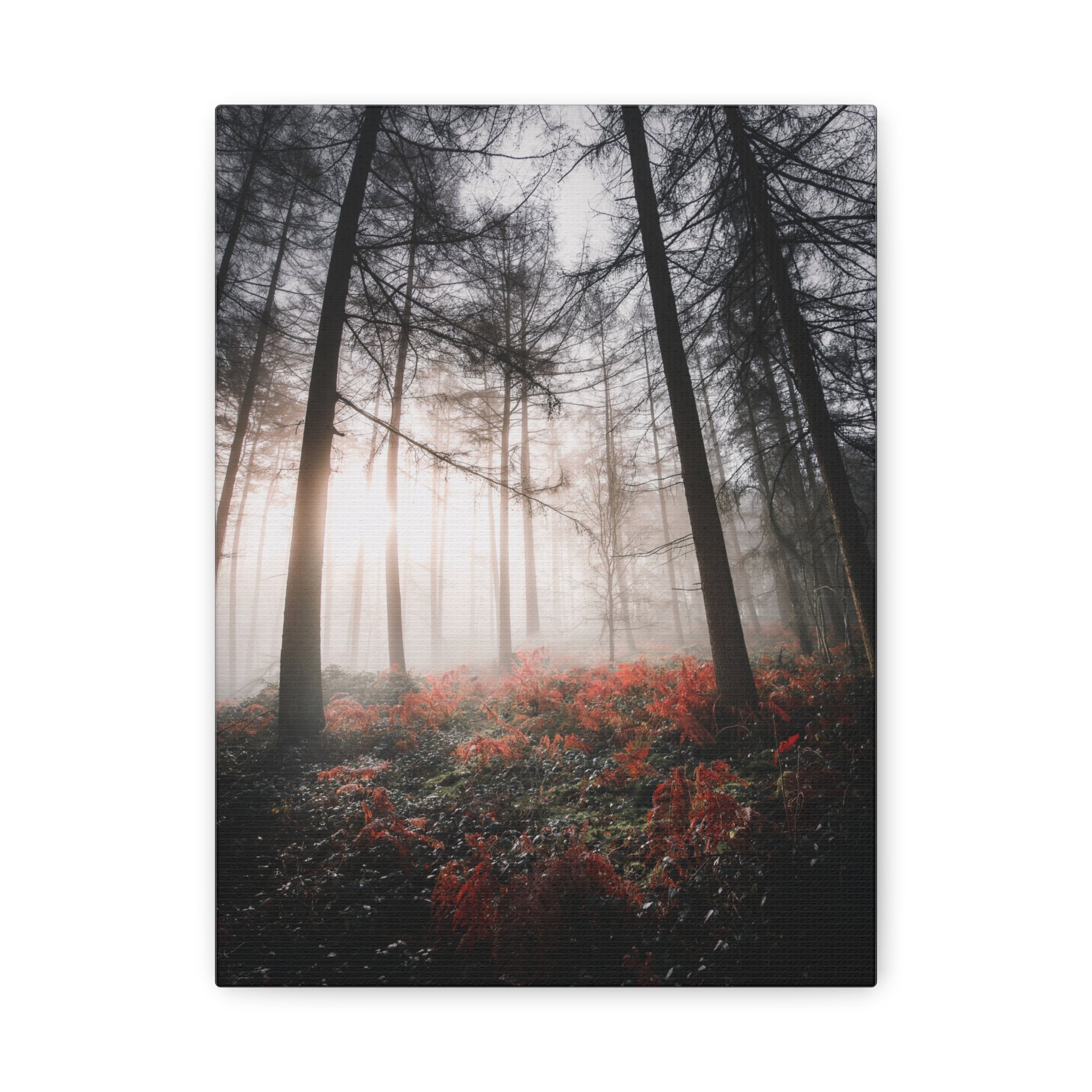 canvas-print-misty-woods-art-living-room-wall-decor-sunlight-forest-landscape-aesthetic-nature-art-stretched-artwork-matte-ca