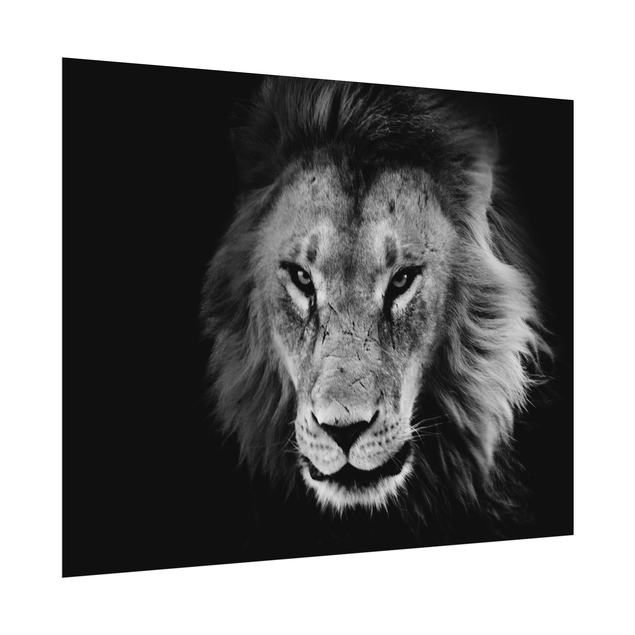 poster-print-lion-wall-art-black-and-white-living-room-decor-monochrome-art-lion-poster-jungle-animal-art-print-wildlife-safa