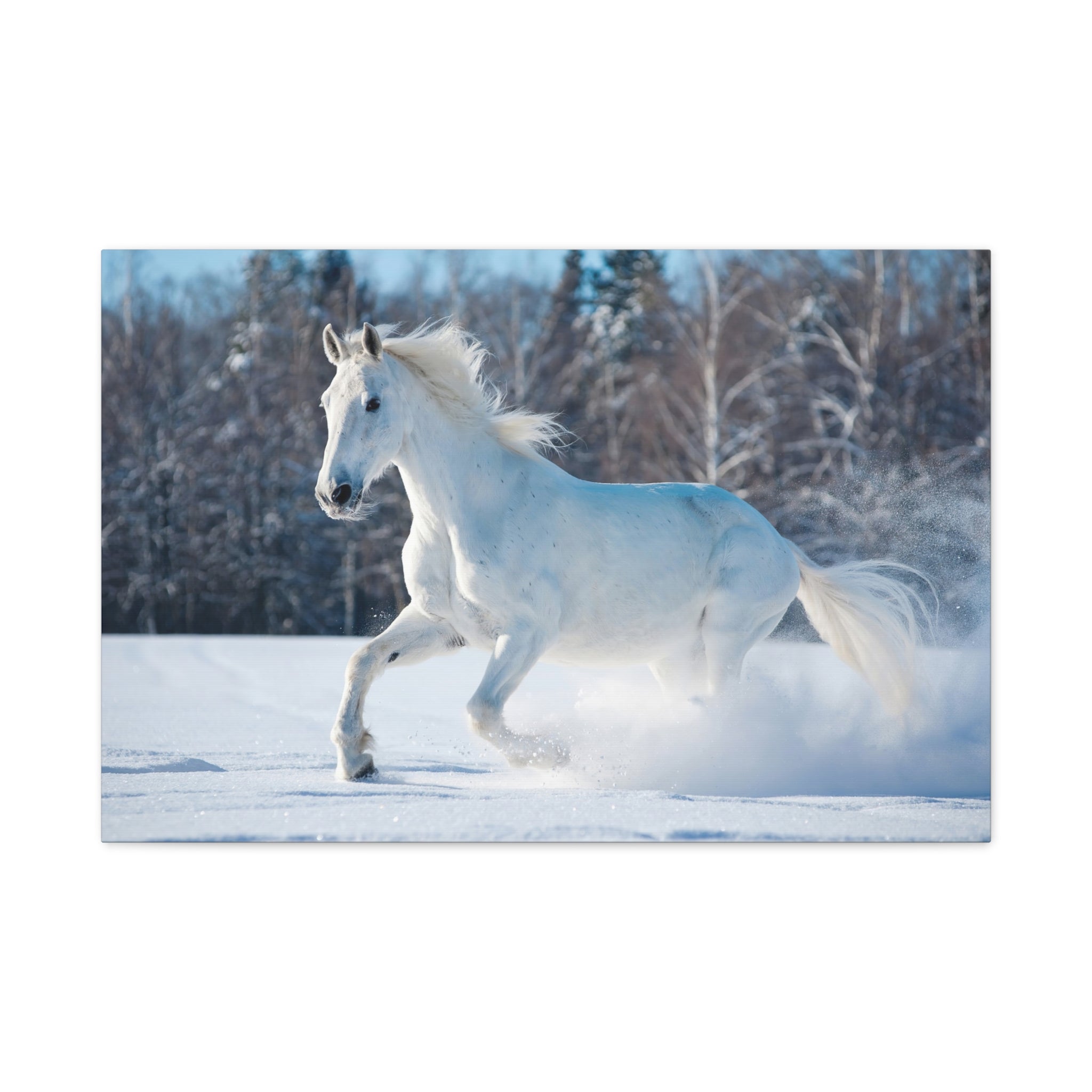 canvas-print-white-horse-winter-wall-art-home-decor-nature-decor-matte-stretched-canvas-alternative-horse-wall-decor-wildlife