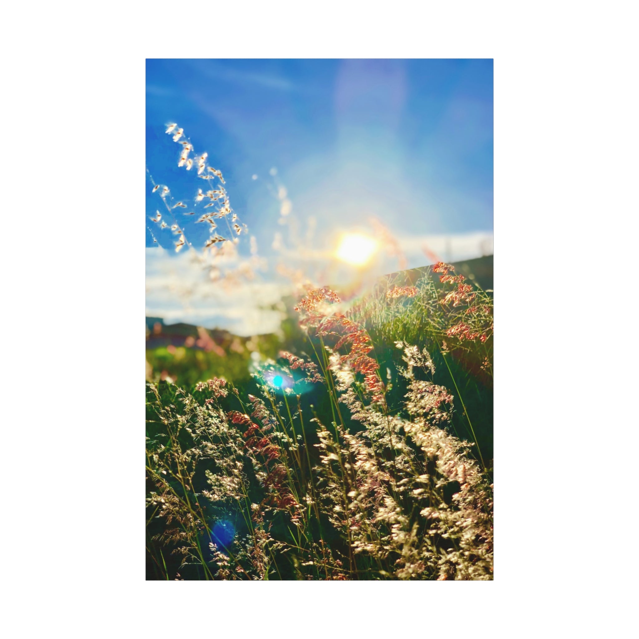 canvas-print-morning-sun-spring-home-decor-matte-wall-art-stretched-painting-1-25-inch-nature-photography-living-room-bedroom